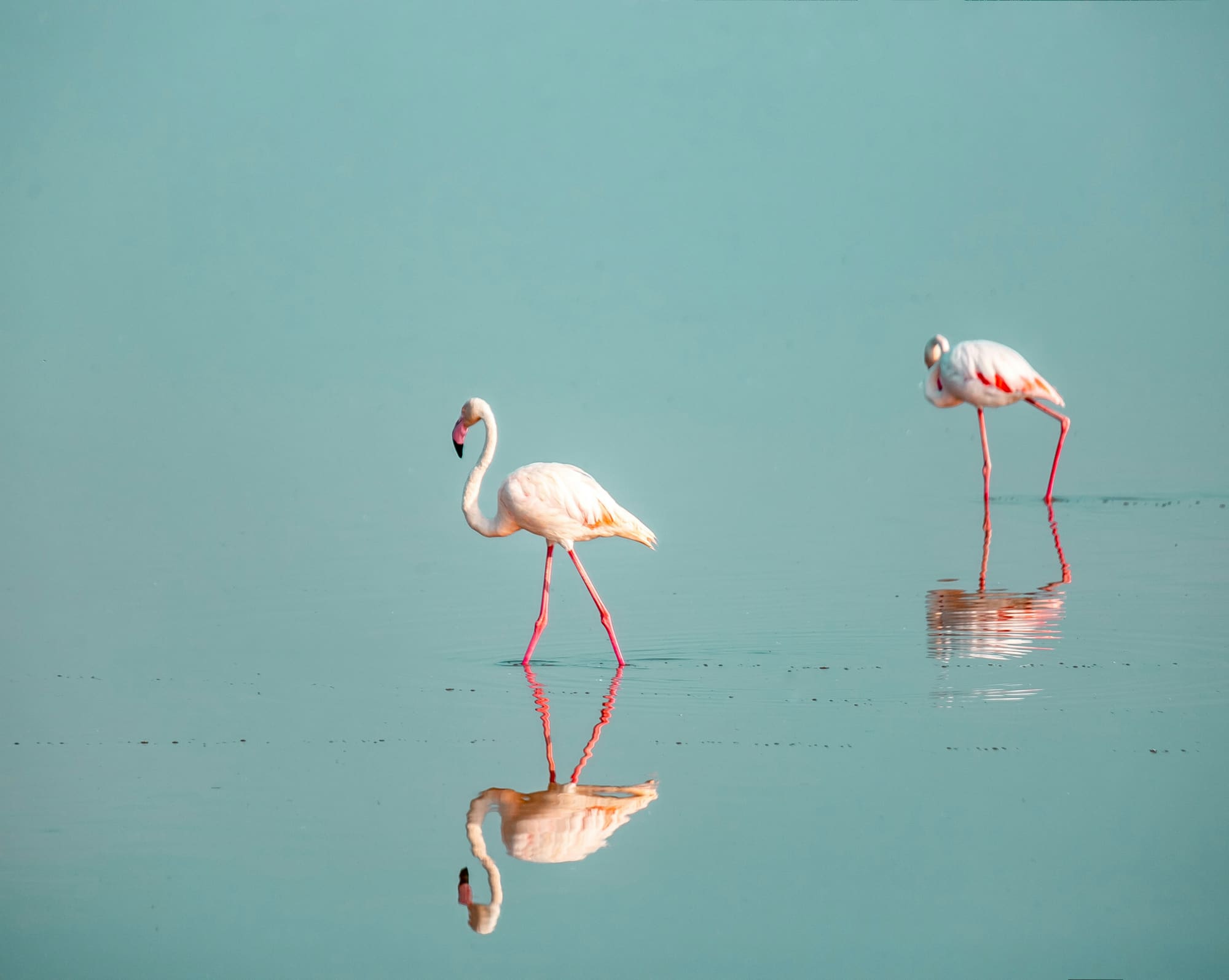 Kenya – Trek & Beach, photo 6