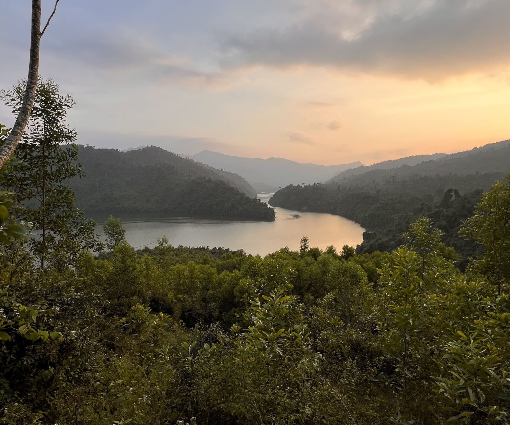 Jungle et rivages du Vietnam, photo 6