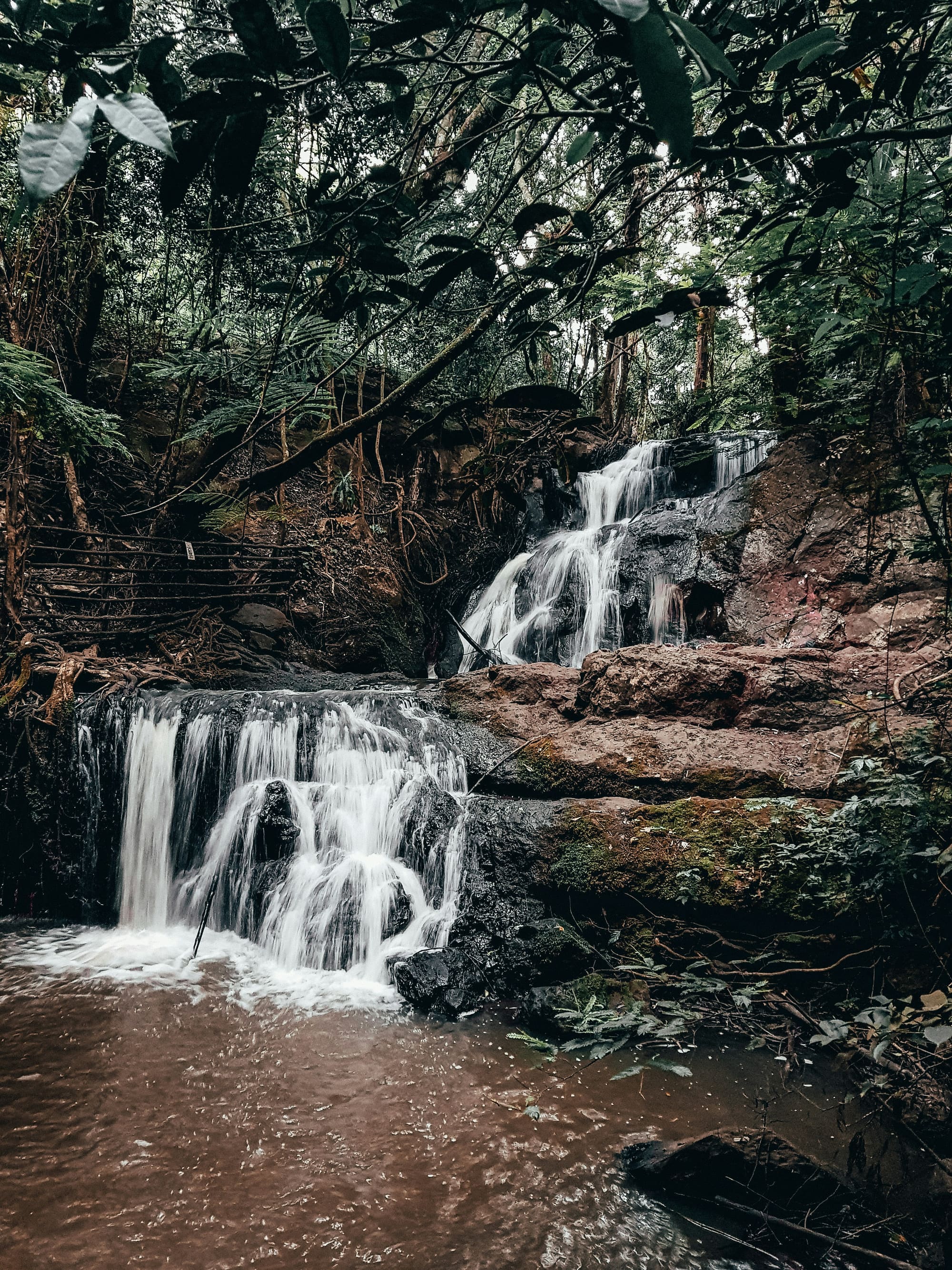 Kenya – Safari & Yoga, photo 6