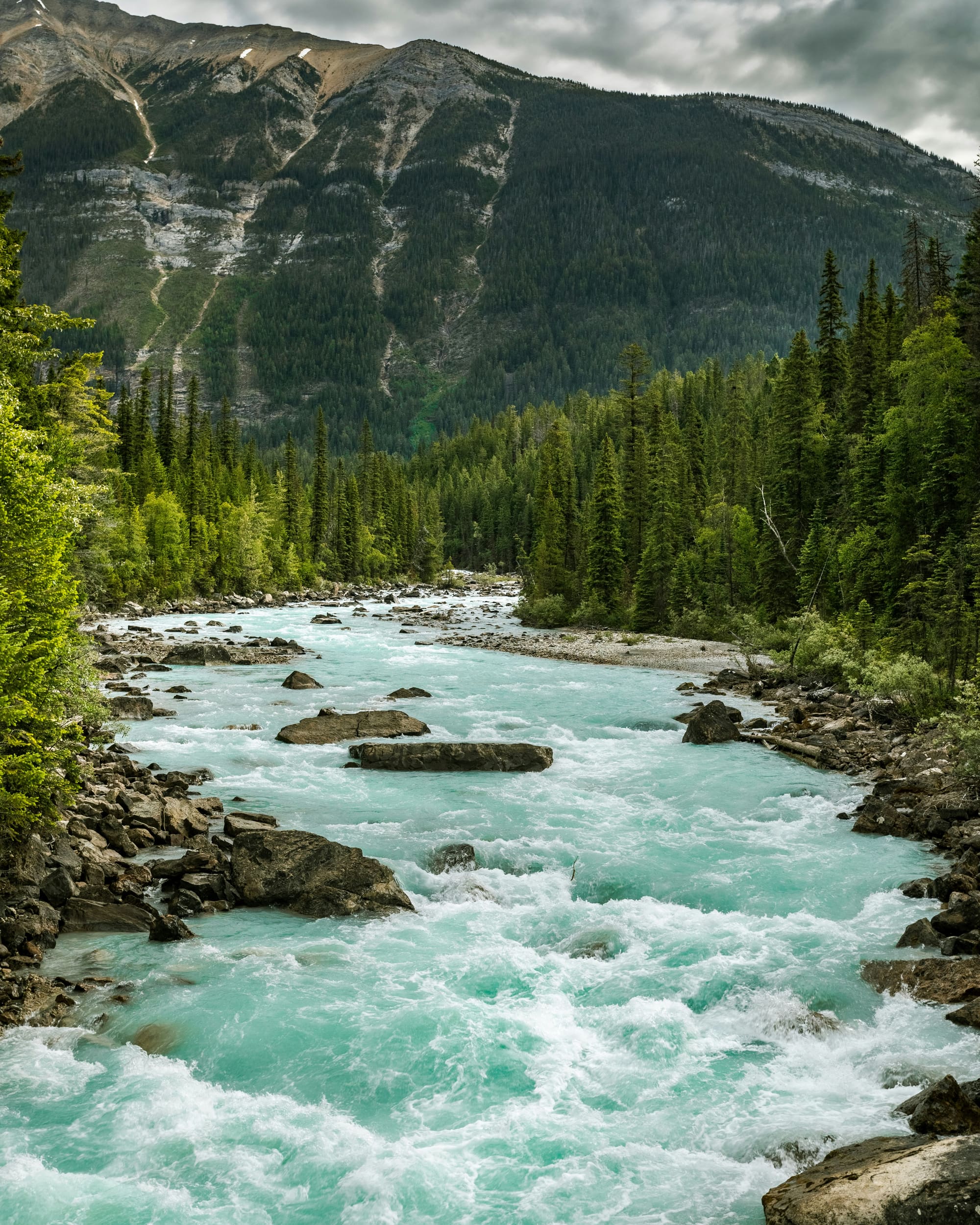 Canada – Dans la peau d’un Musher, photo 5