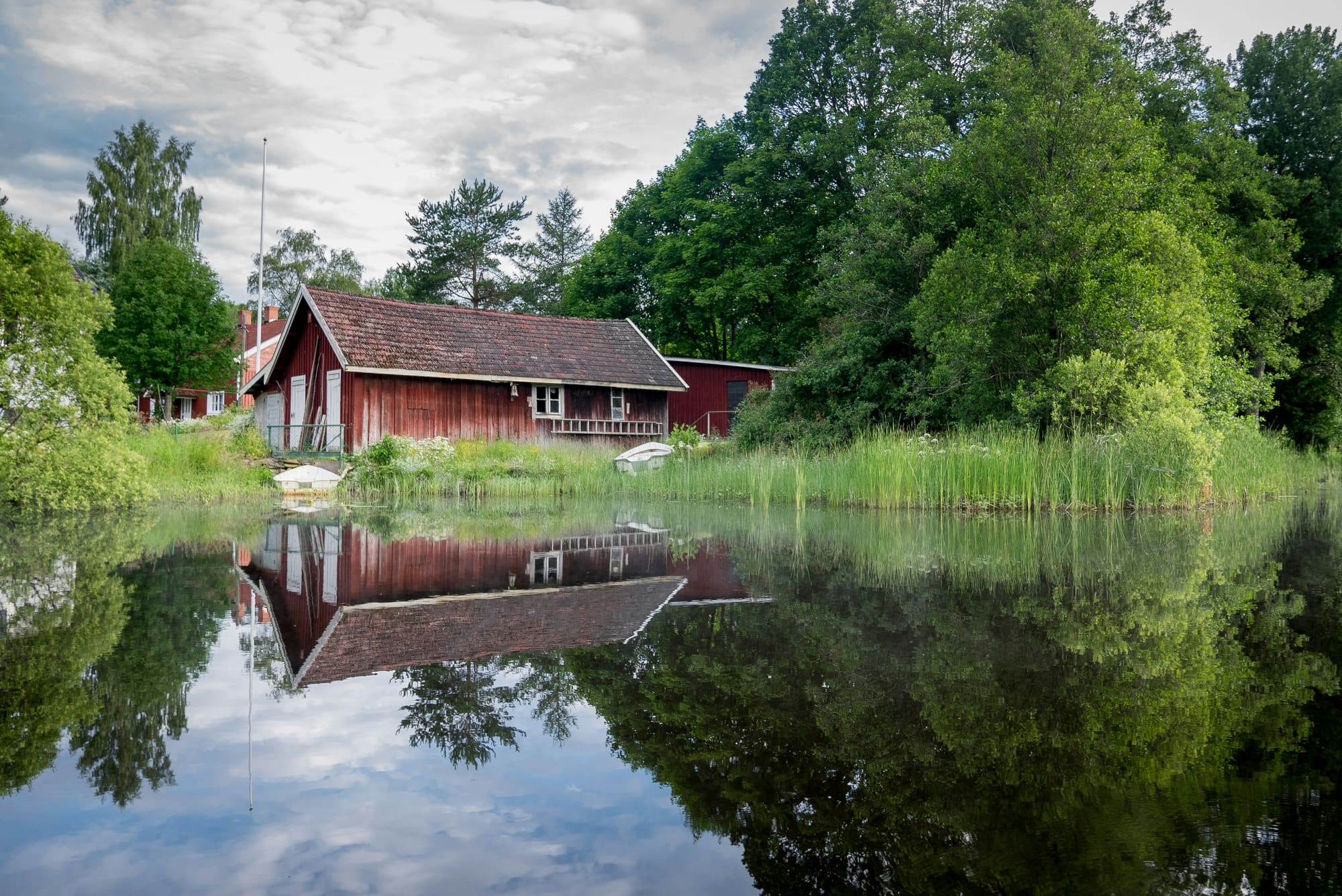 Suède – Détox en Forêt, photo 5