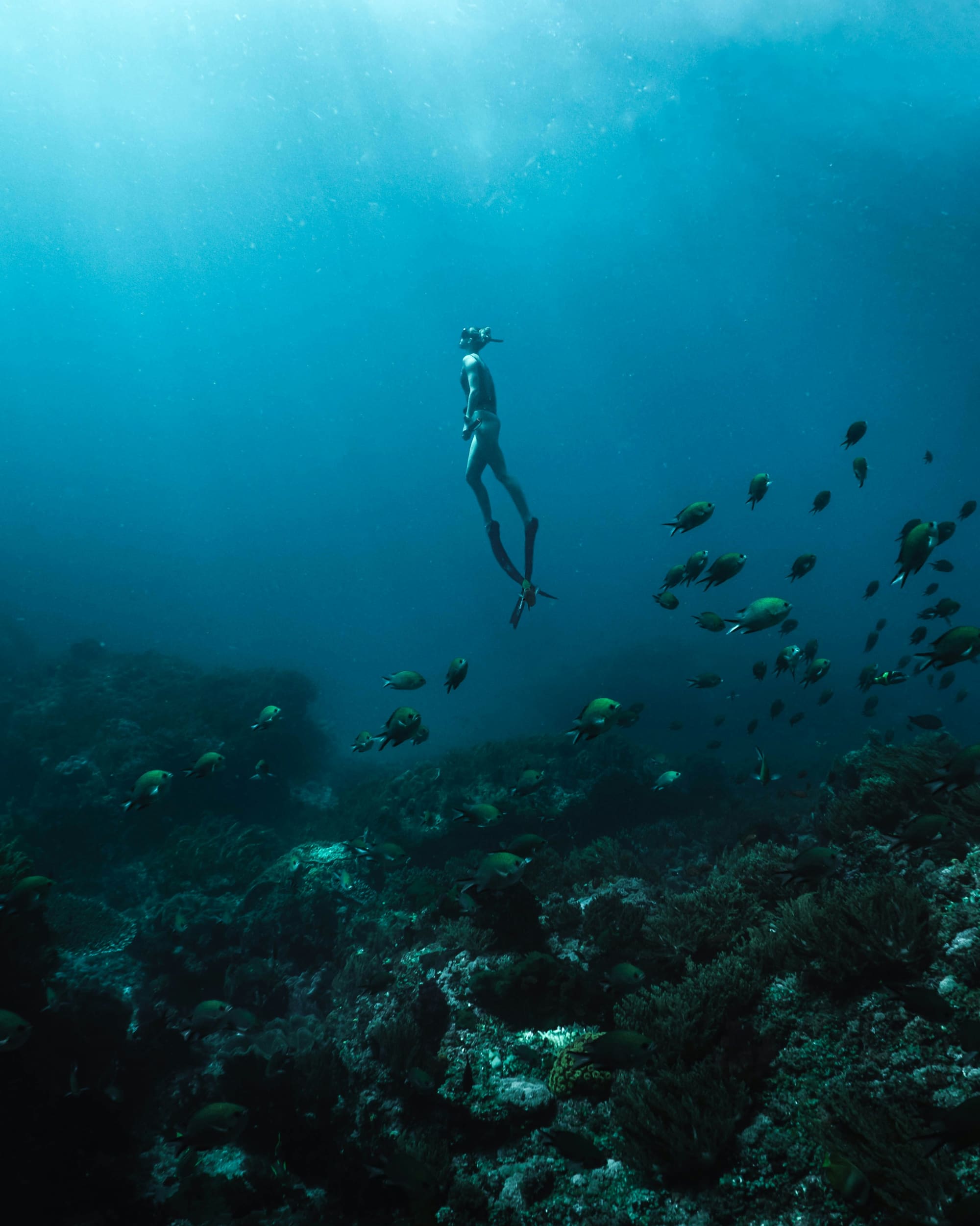 Égypte – Plongée à Marsa Alam, photo 4