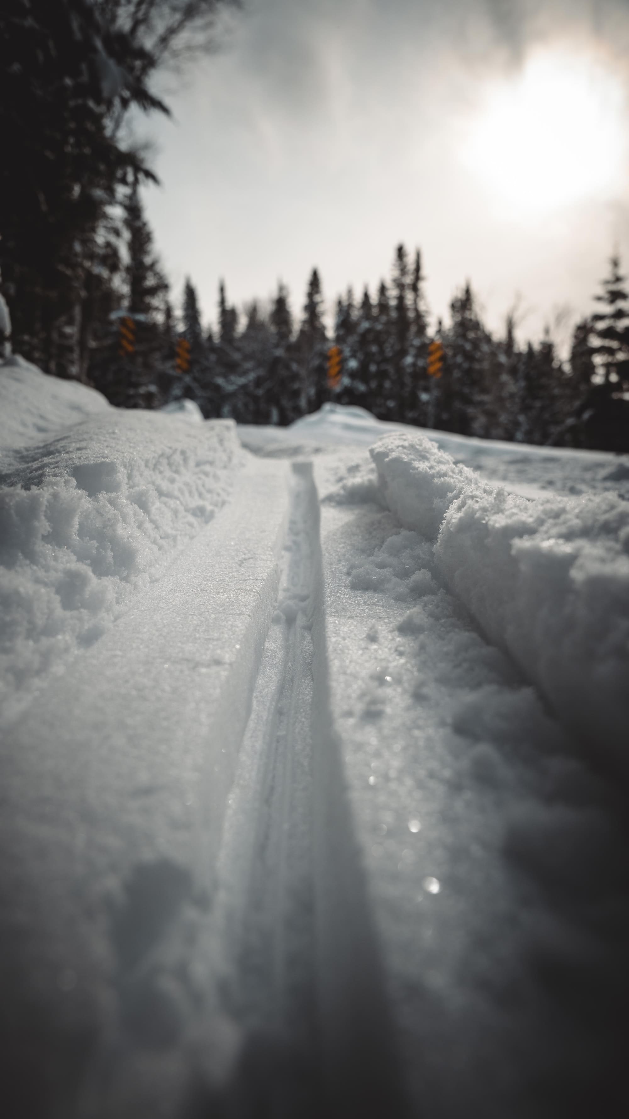 Canada – Aventure hivernale au Québec, photo 4