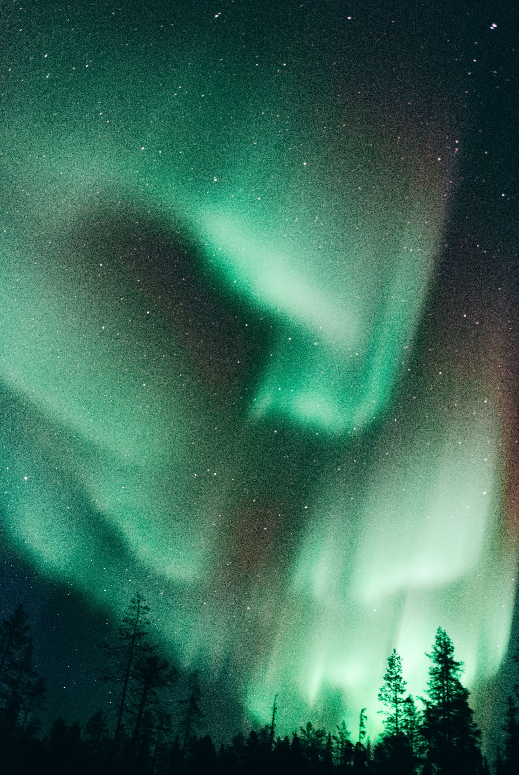 Finlande – La Magie de Noël, photo 5