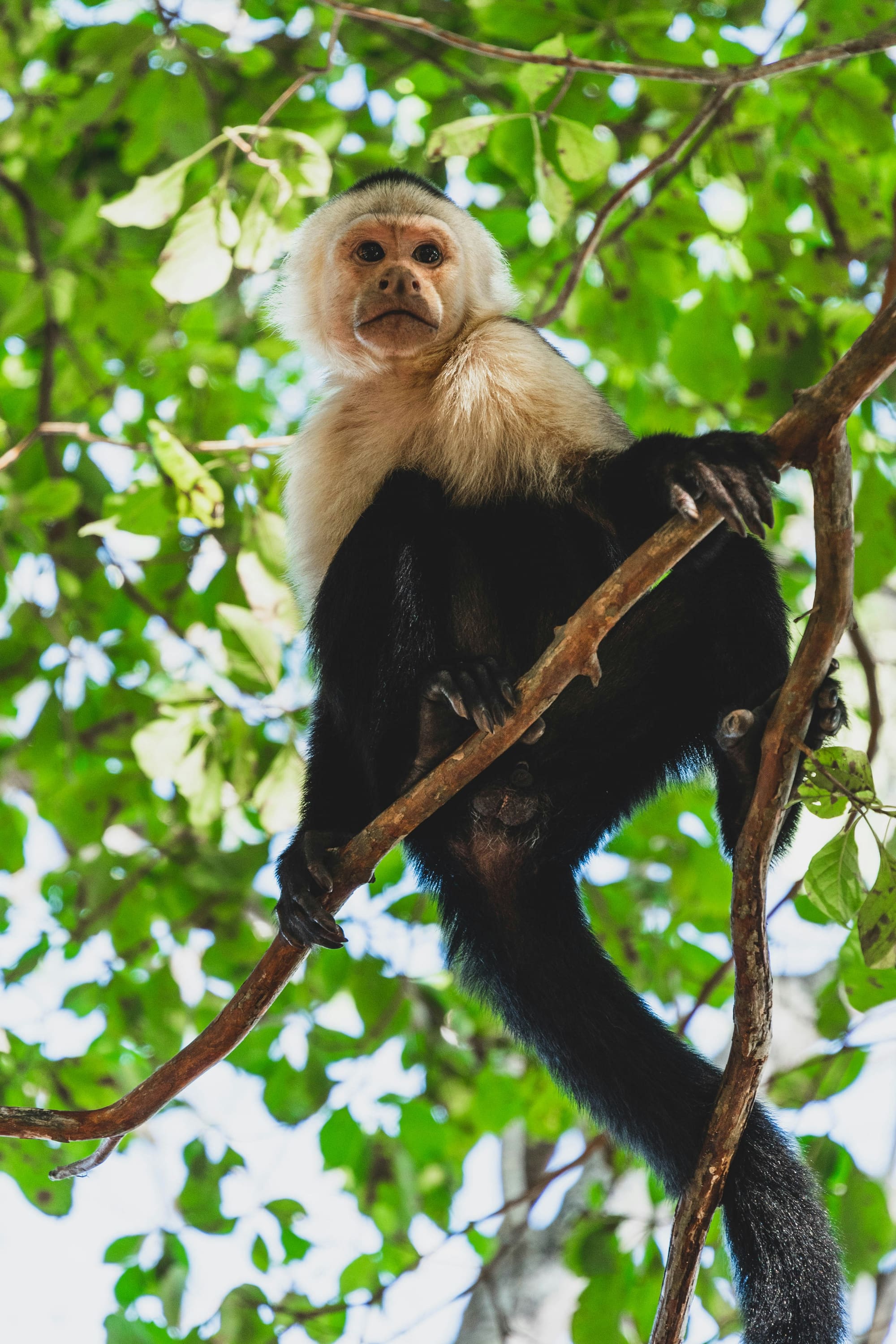Costa Rica – Sport & Bien-être, photo 6