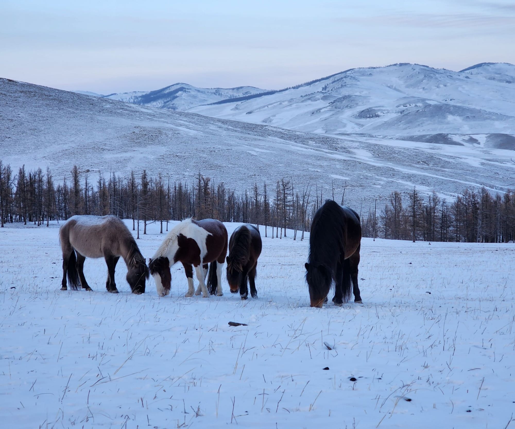 La Voie des Glaces, photo 6