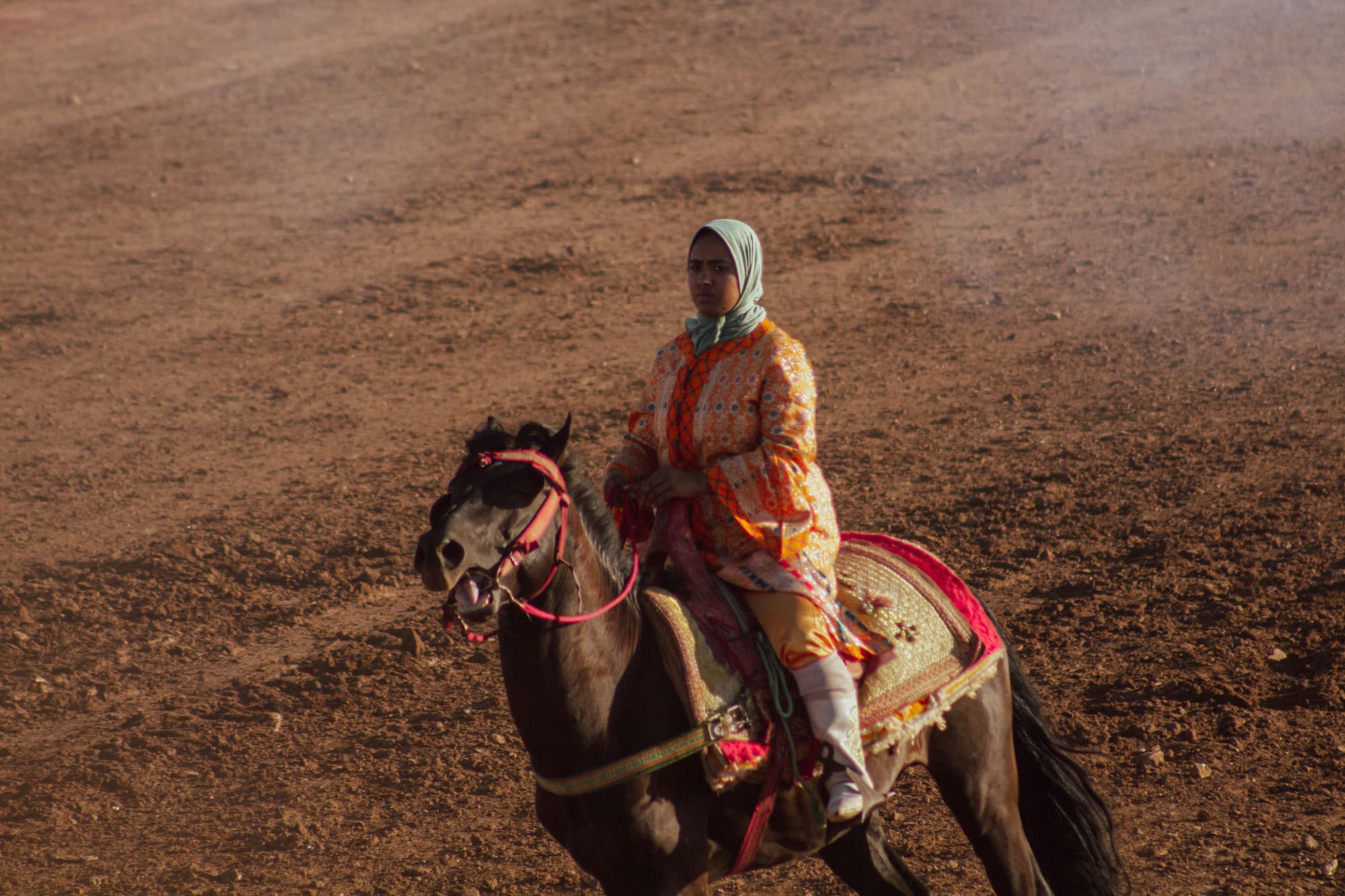 Maroc – À Cheval, photo 6