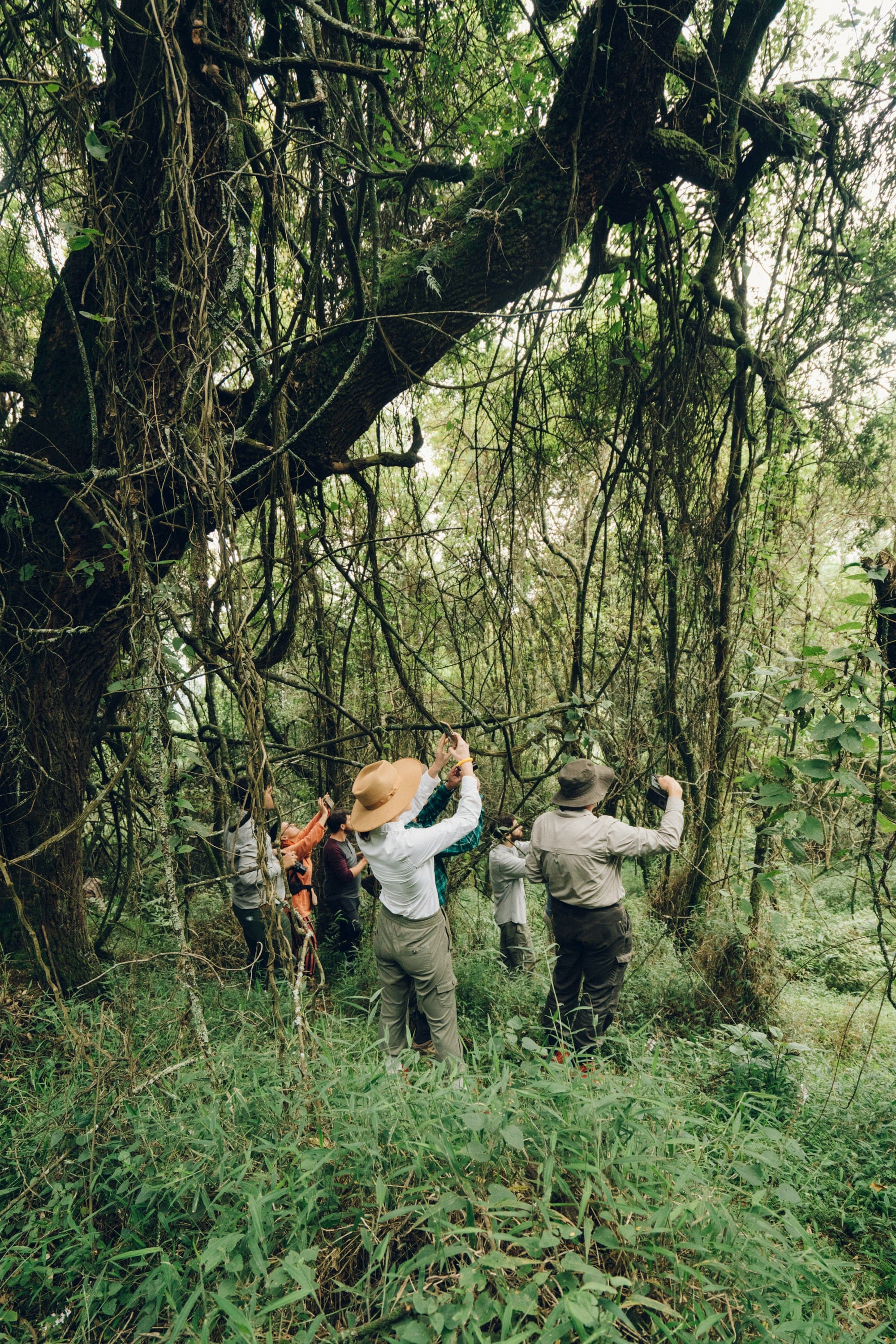 Ouganda & Rwanda – Au royaume des grands primates, photo 4
