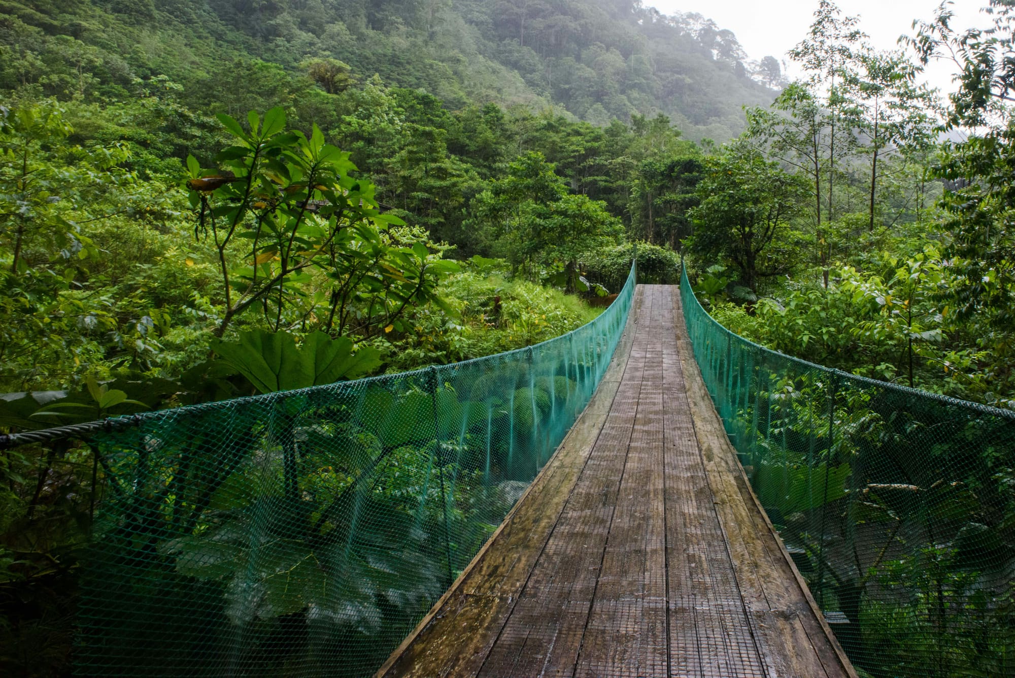 Costa Rica – Stage de survie en forêt tropicale, photo 4