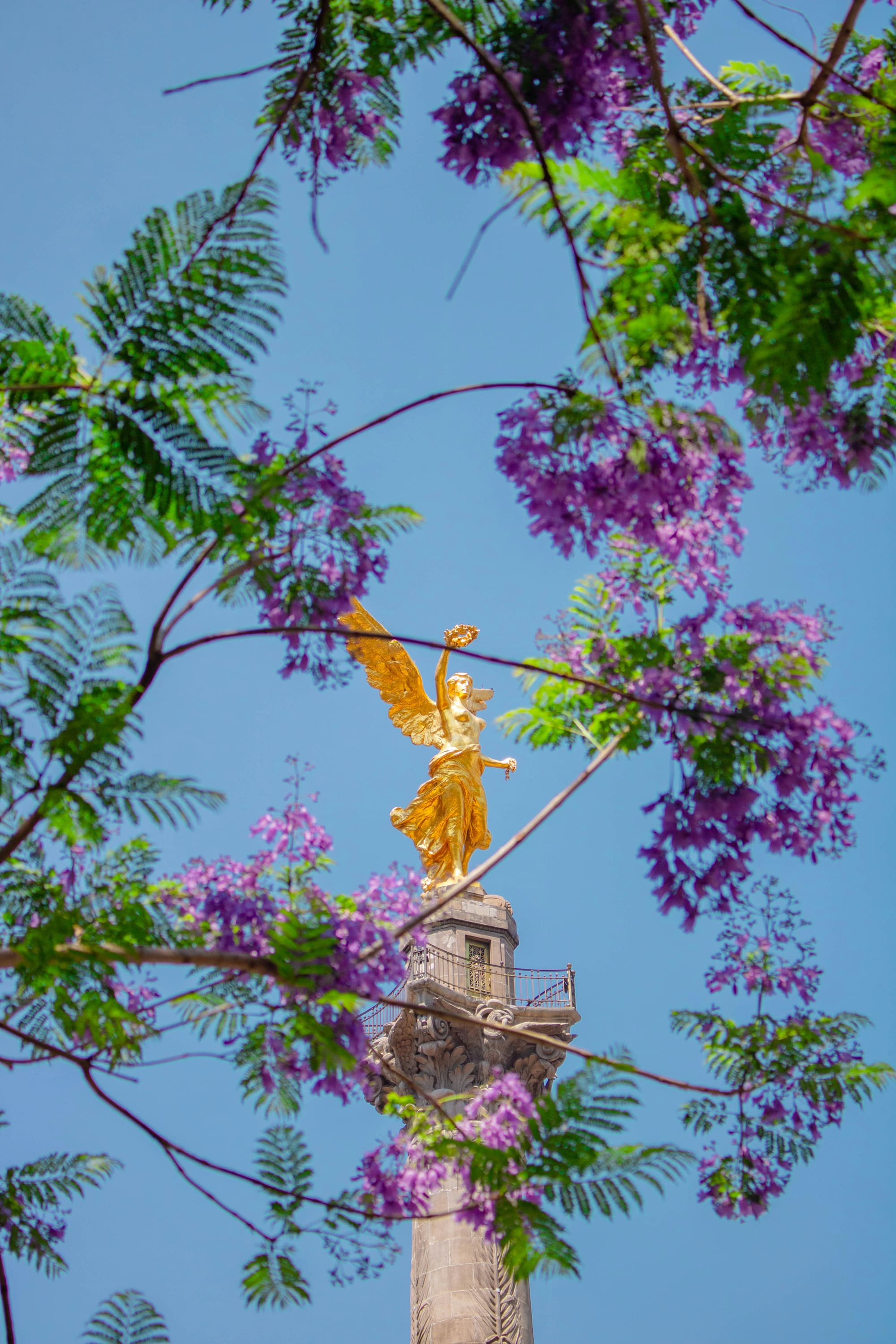 Mexique – Aventure en Haciendas, photo 3