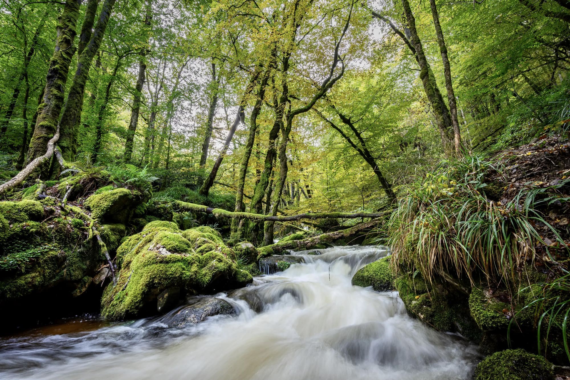 Le Morvan : le petit Canada français, photo 2
