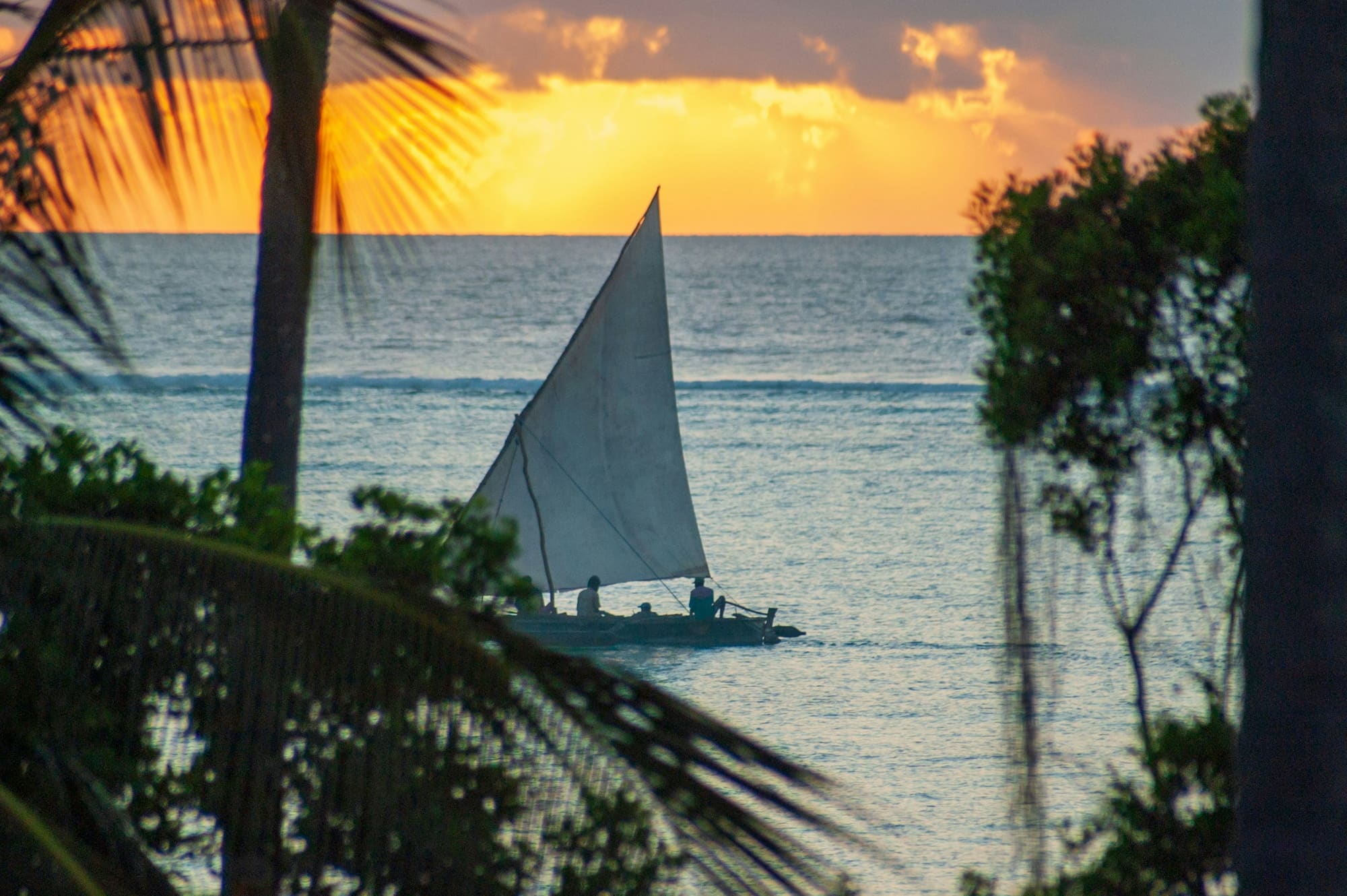 Zanzibar Zen, photo 5