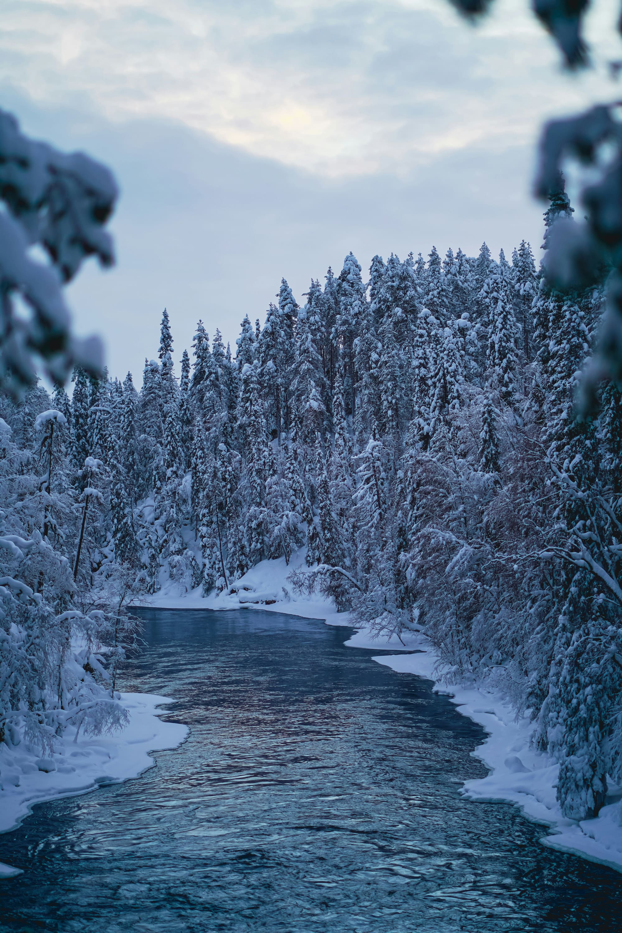 Finlande – Hiver Lapon, photo 4
