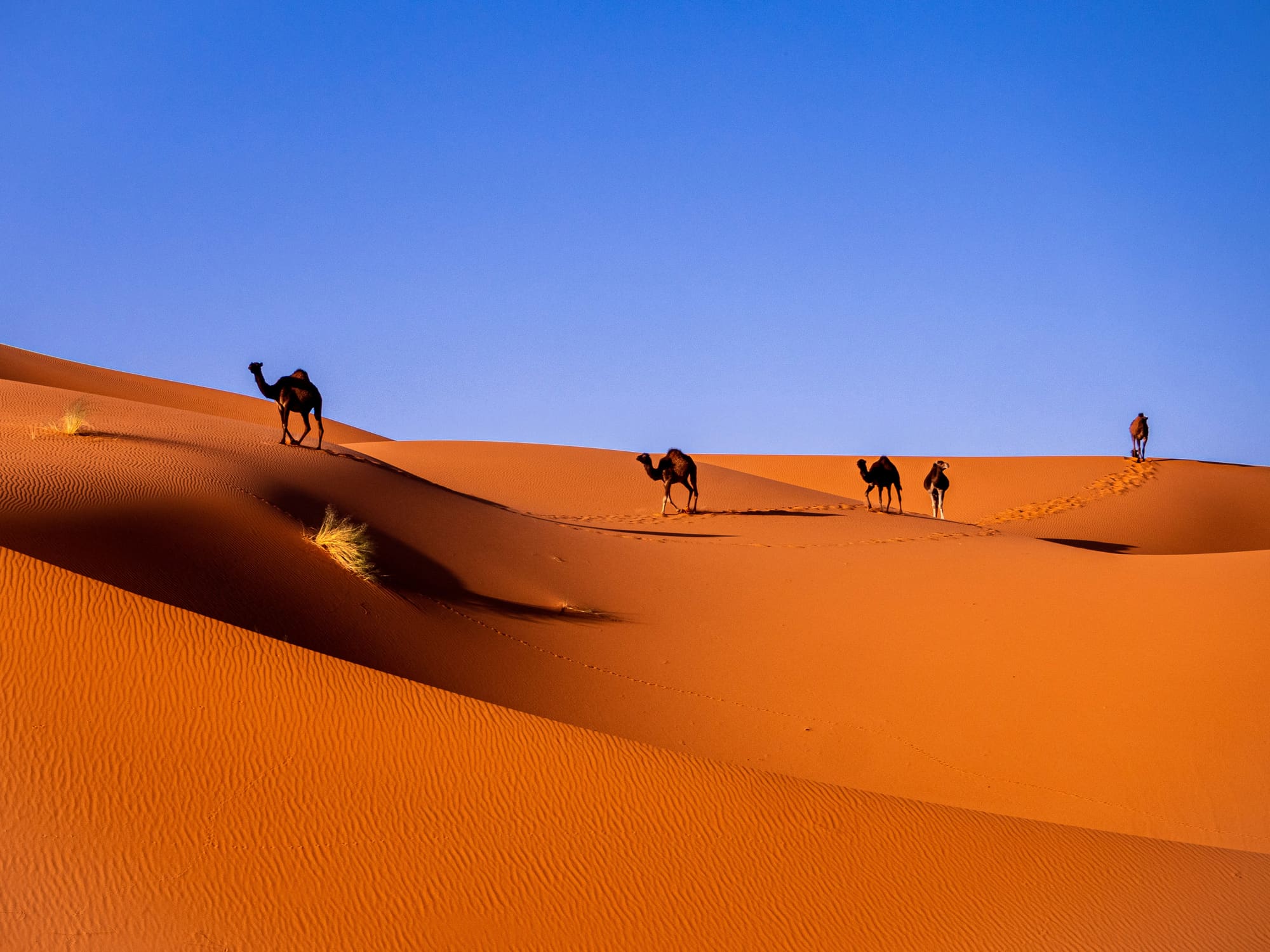 Maroc - Retour à l’essentiel et Clarté de vision, photo 5