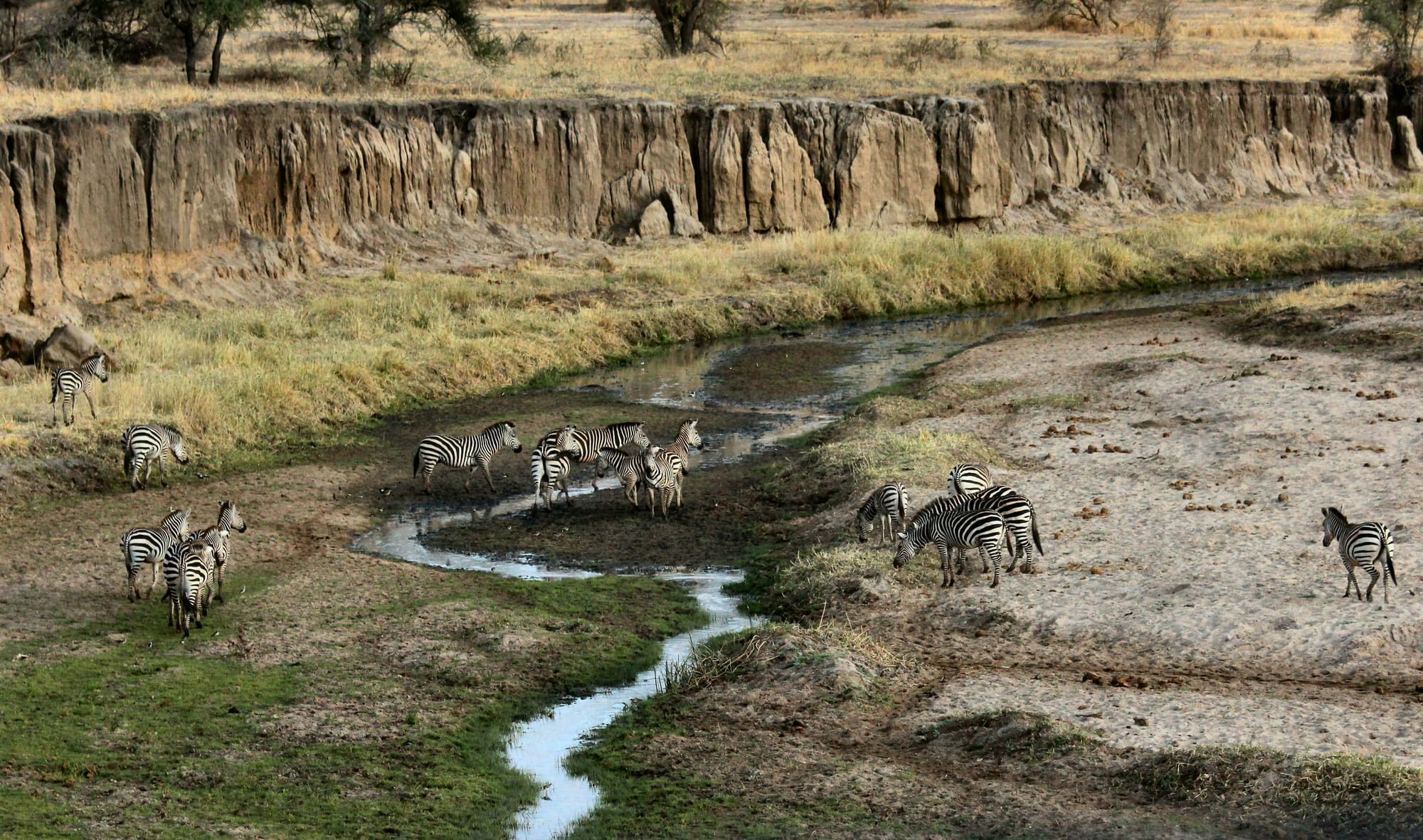 Tanzanie – Échappée Sauvage, photo 5
