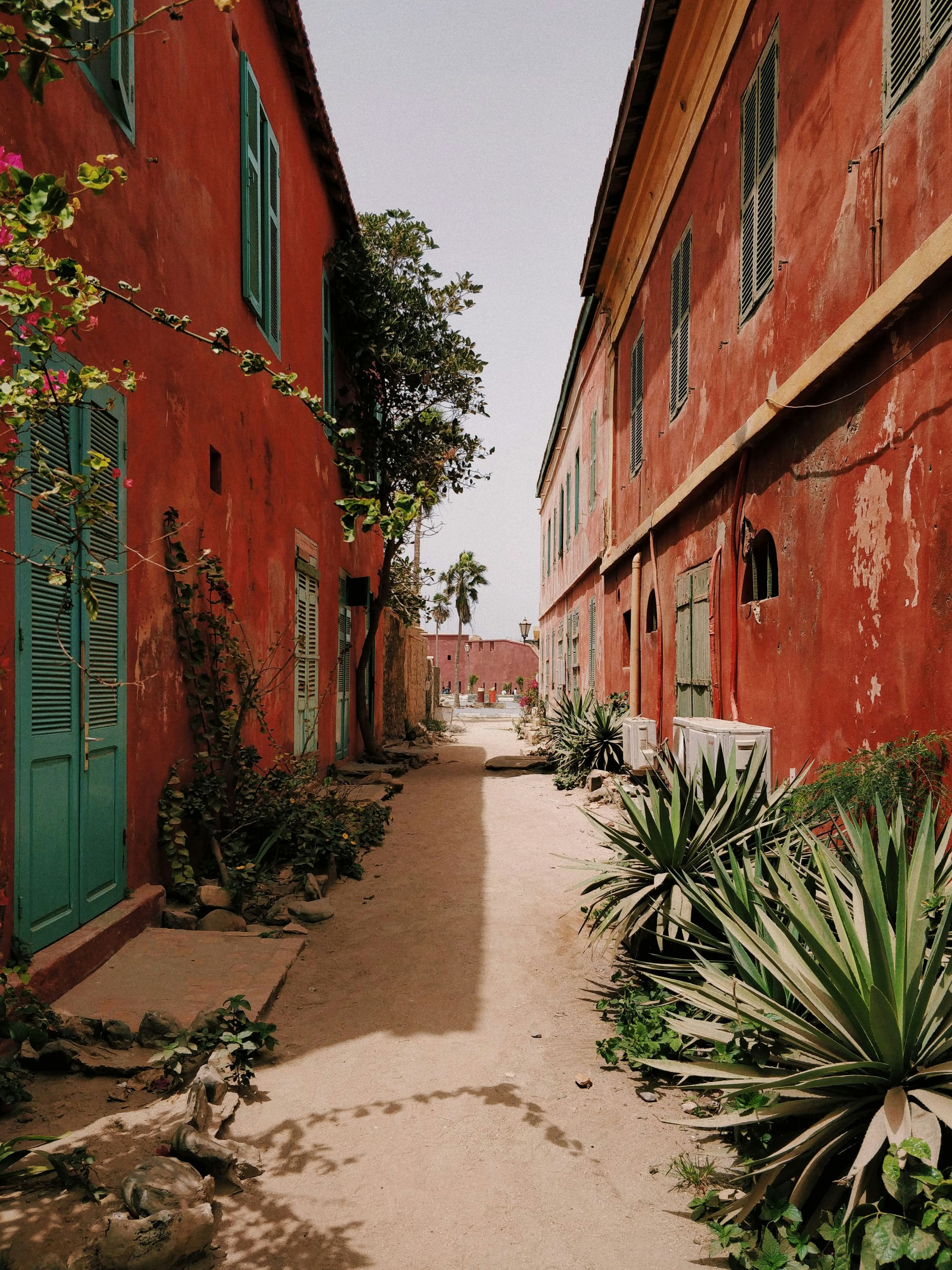 Sénégal – Eco Solidaire, photo 3