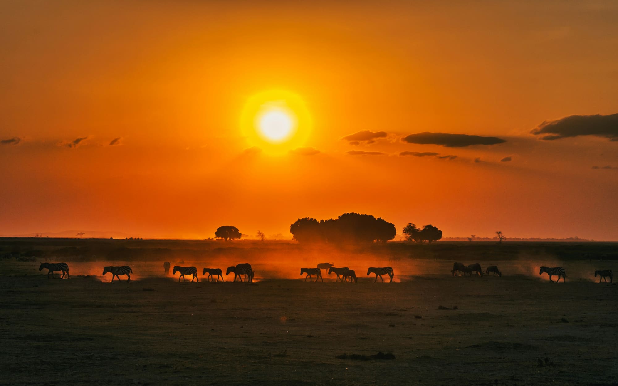 Kenya – Safari & Yoga, photo 7