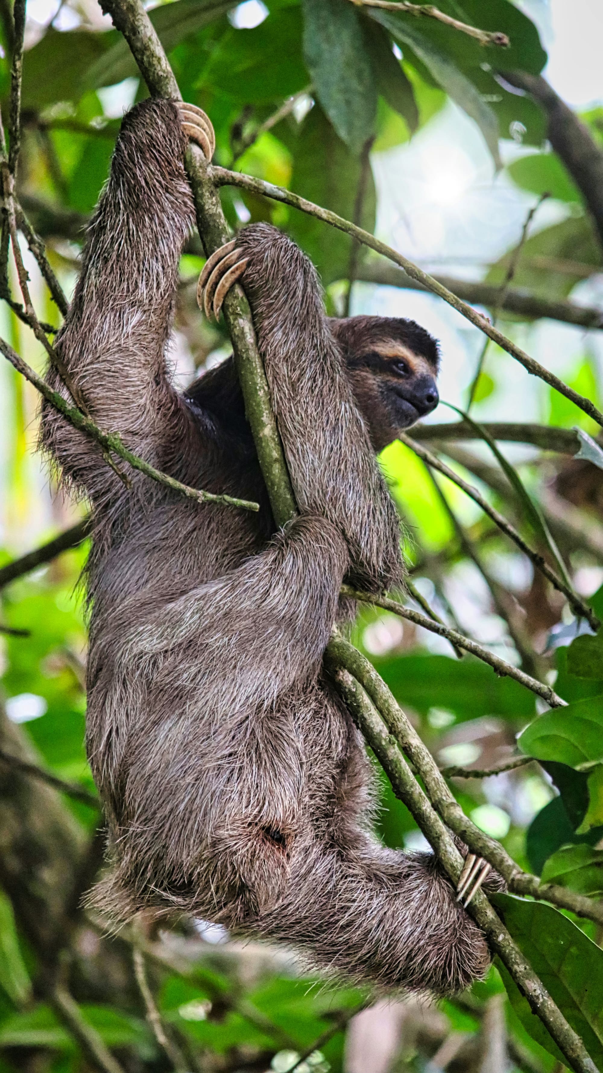 Costa Rica – En liberté, photo 4