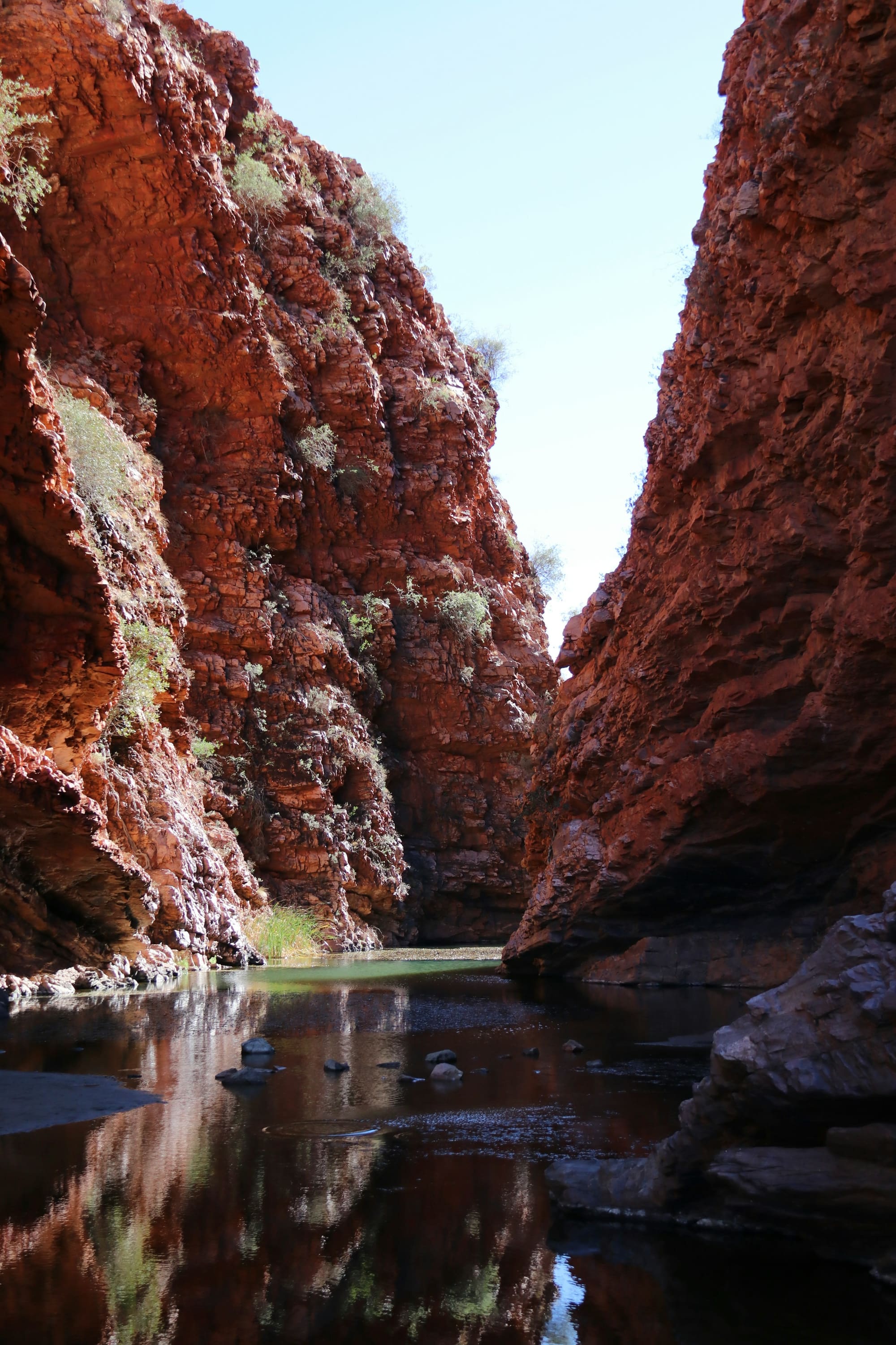 Australie – Down Under : de Sydney à la Grande Barrière, photo 4