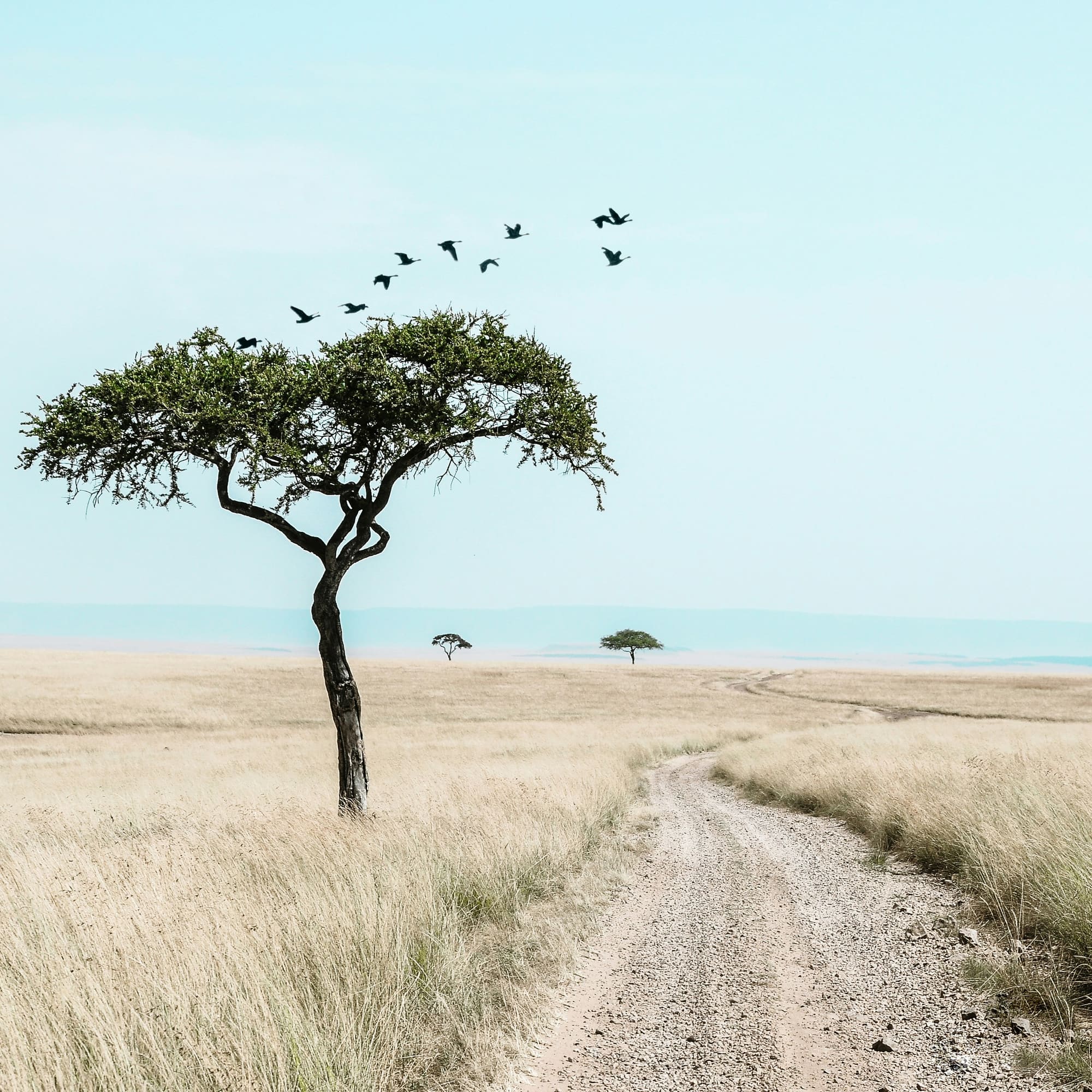 Kenya – Trek & Beach, photo 5