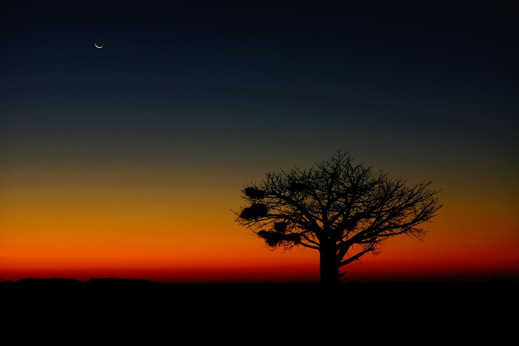 Namibie, Botswana & Zimbabwe – Sur la Route des Chutes, photo 2