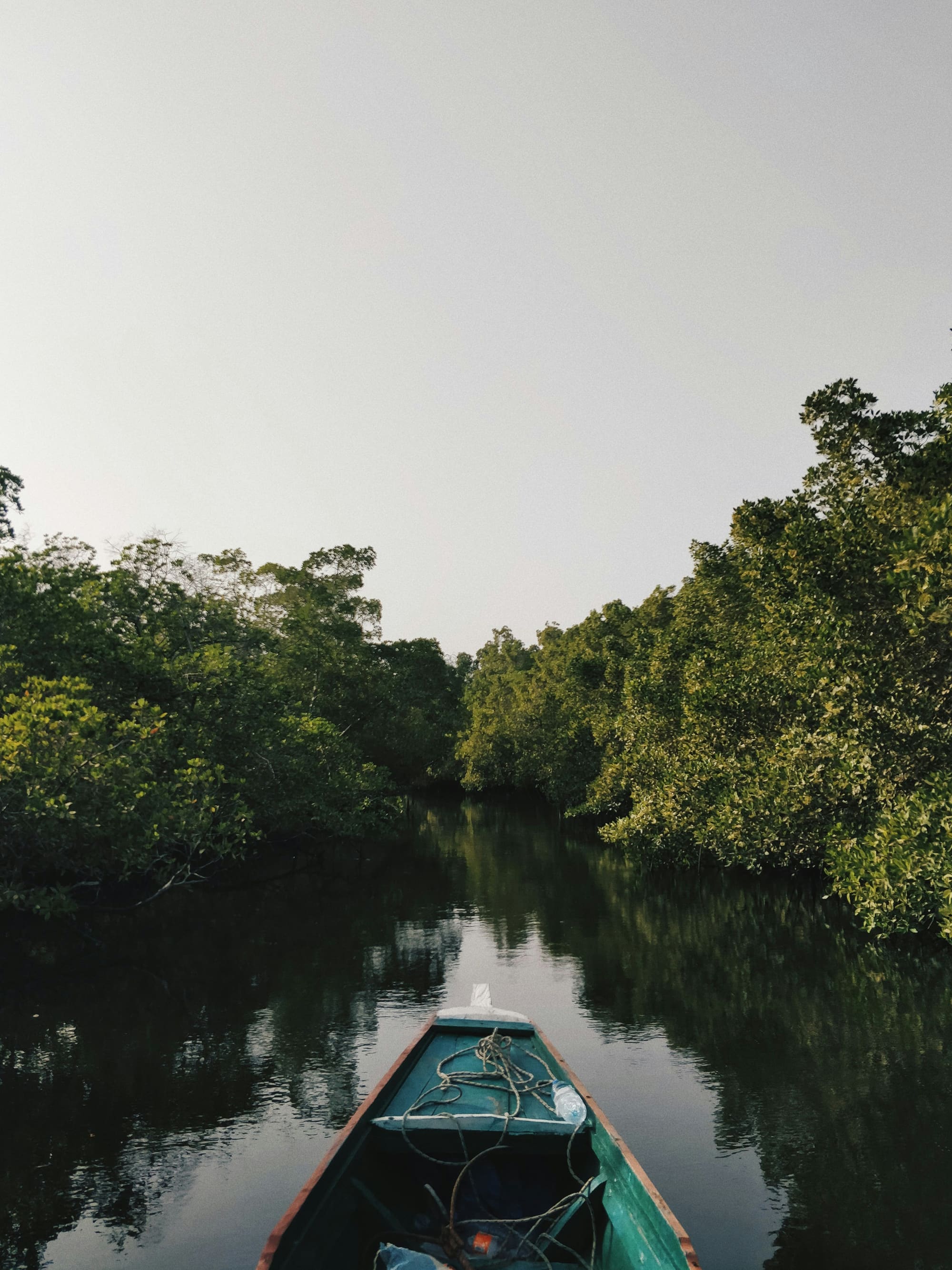 Sénégal – Eco Solidaire, photo 4