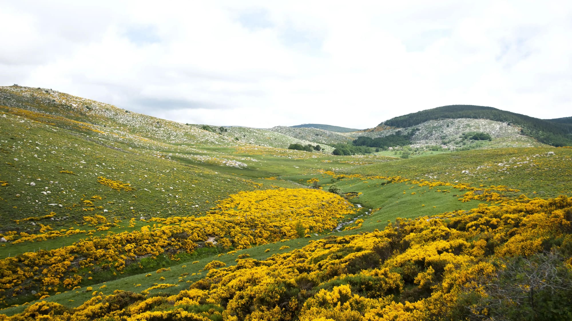 Lozère  : "Terre de grands espaces"