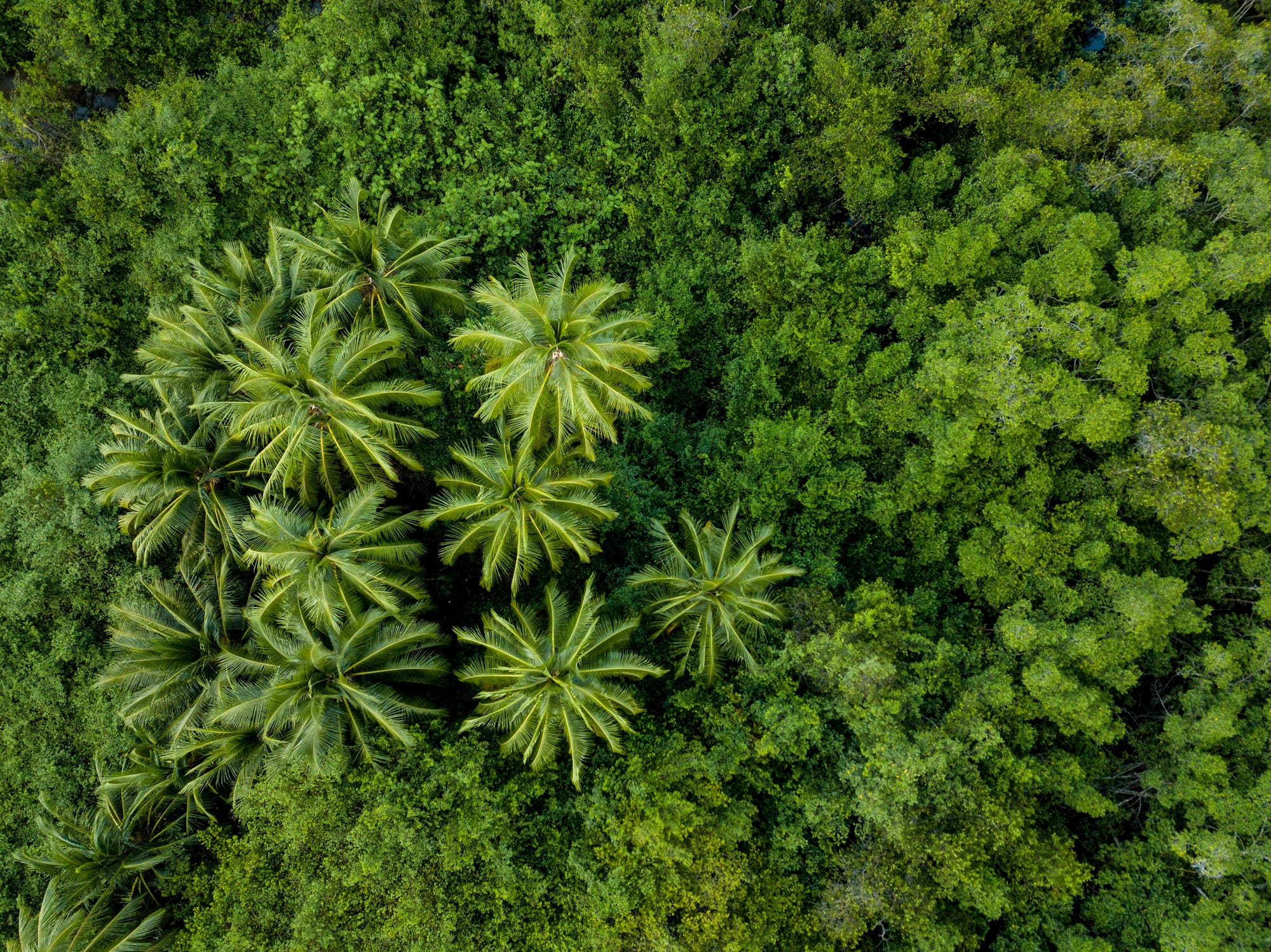 Costa Rica – Aventure Pura Vida, photo 4