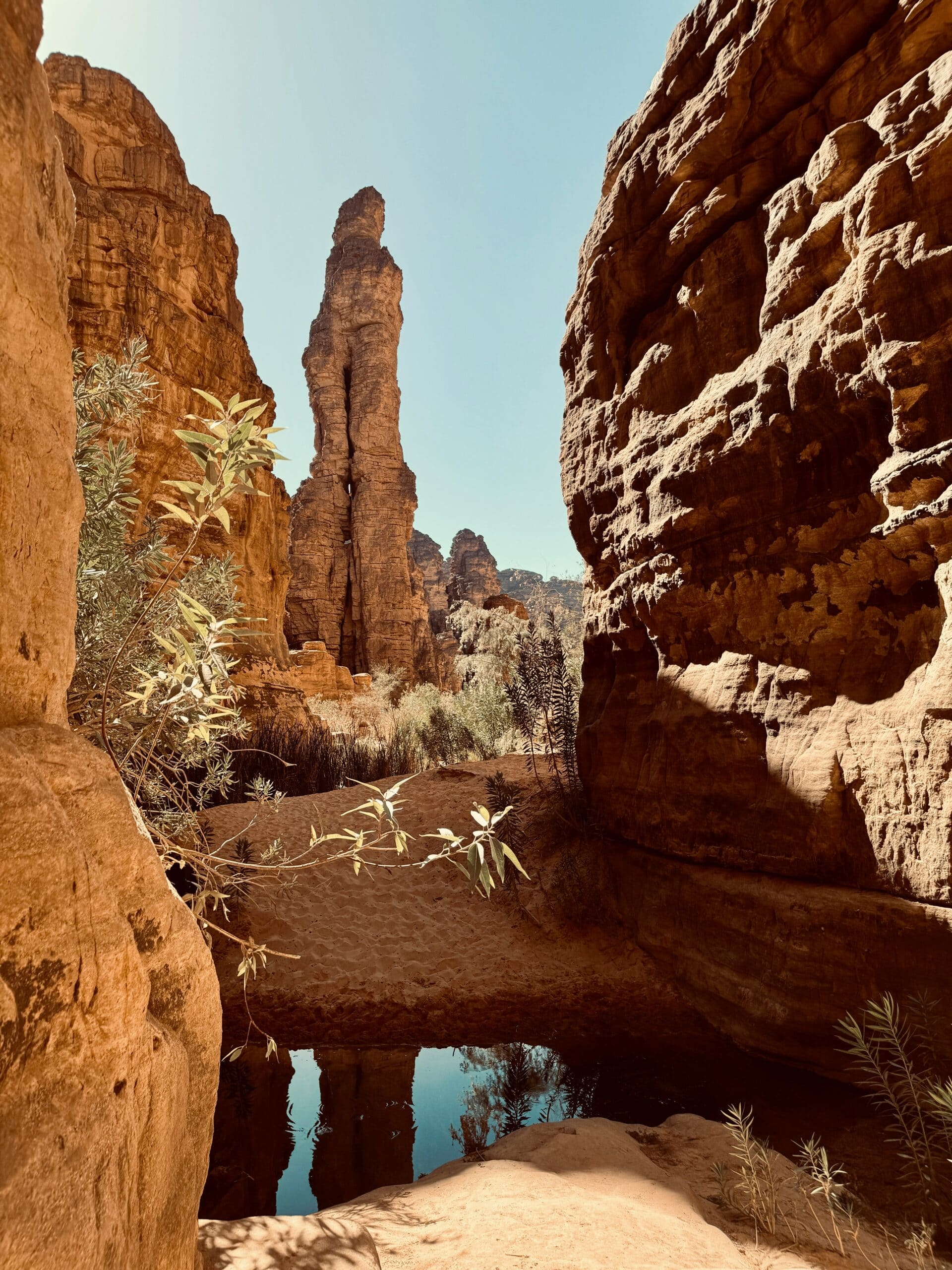 Algérie - Les Puissances de l’Énergie des Sables du Sahara, photo 4