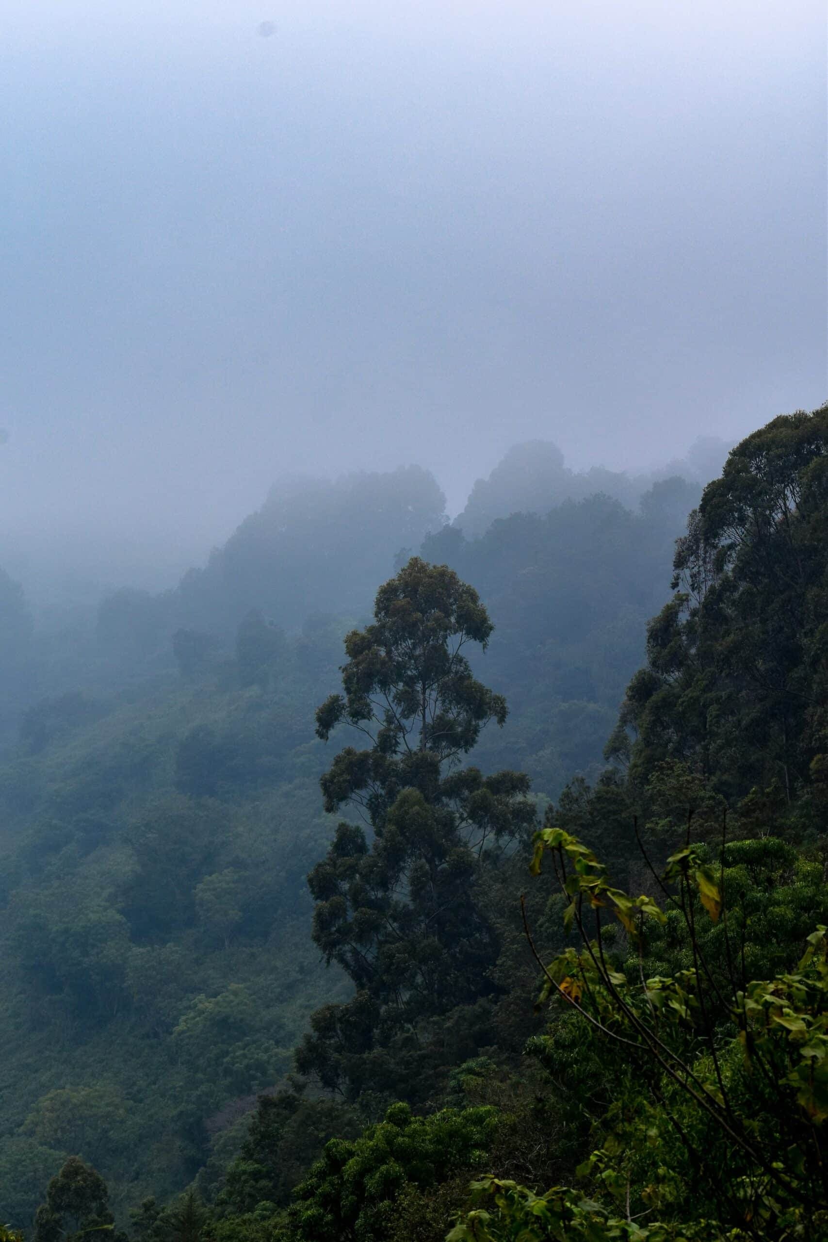 Le Kenya – Safari sacré aux forces originelles de la Terre, photo 7