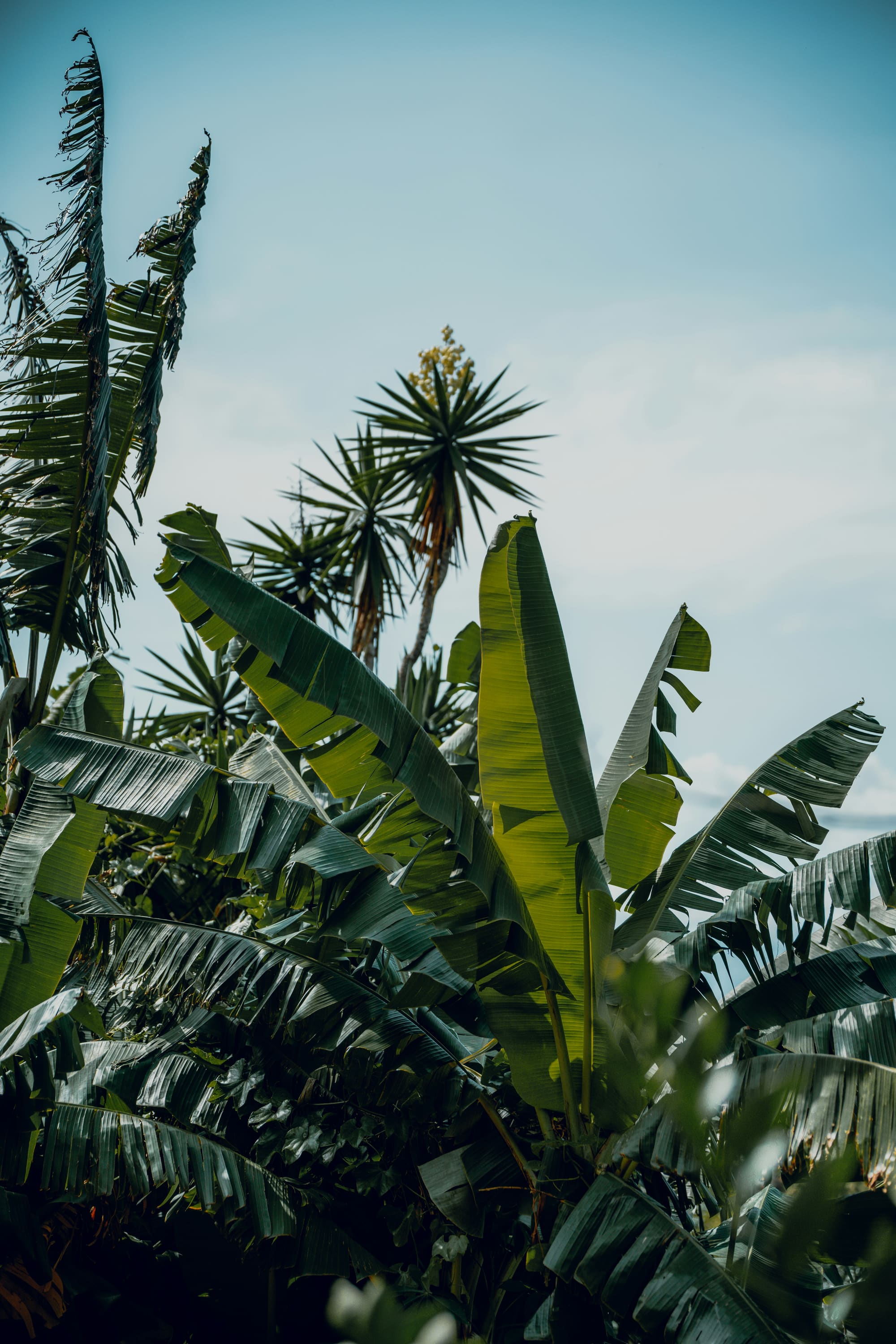 Costa Rica – Aventure Pura Vida, photo 5