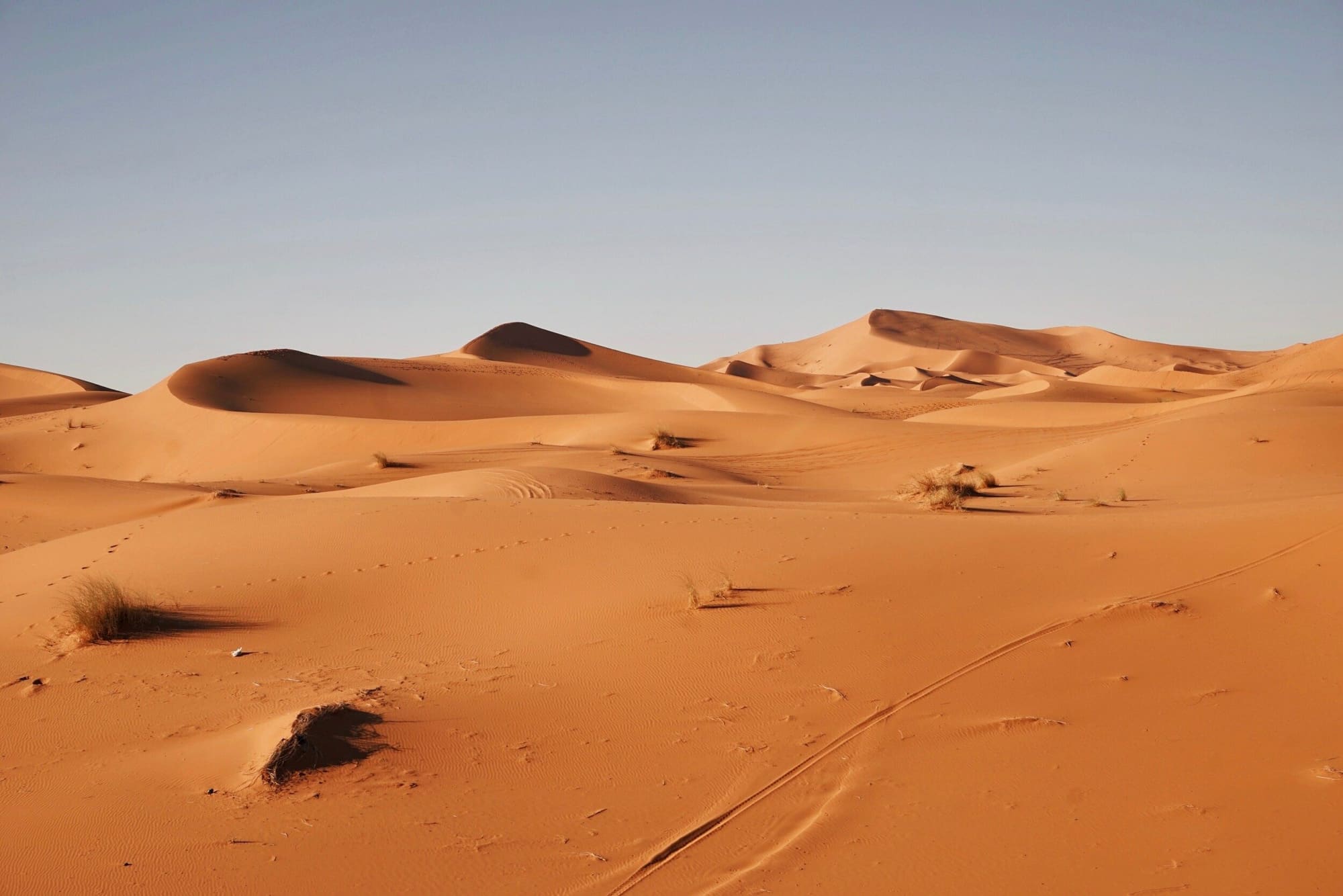 Le sud marocain : de l'Atlas aux dunes du Sahara, photo 5