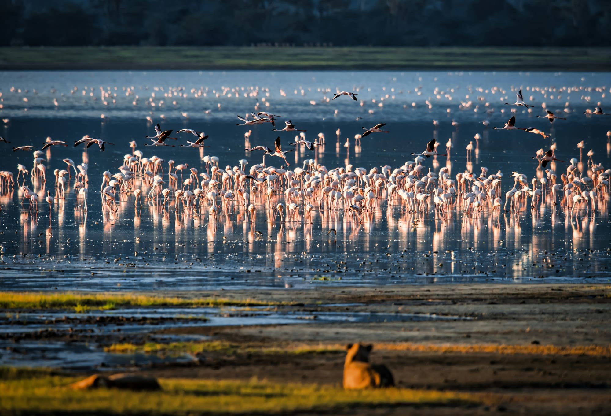 Tanzanie – Jeux Masais, photo 2