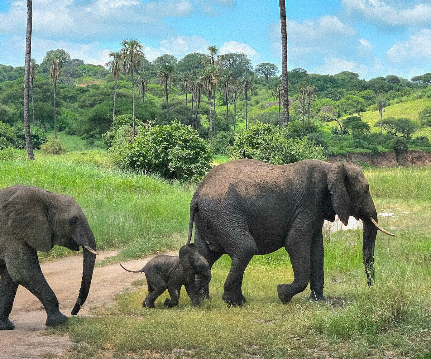 Tanzanie : Raid en Terres Maasaï, photo 7