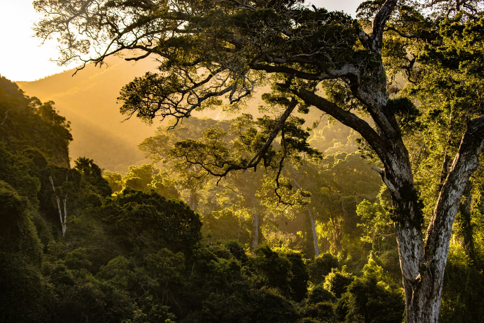 Afrique du Sud – Du Cap au Kruger, photo 5