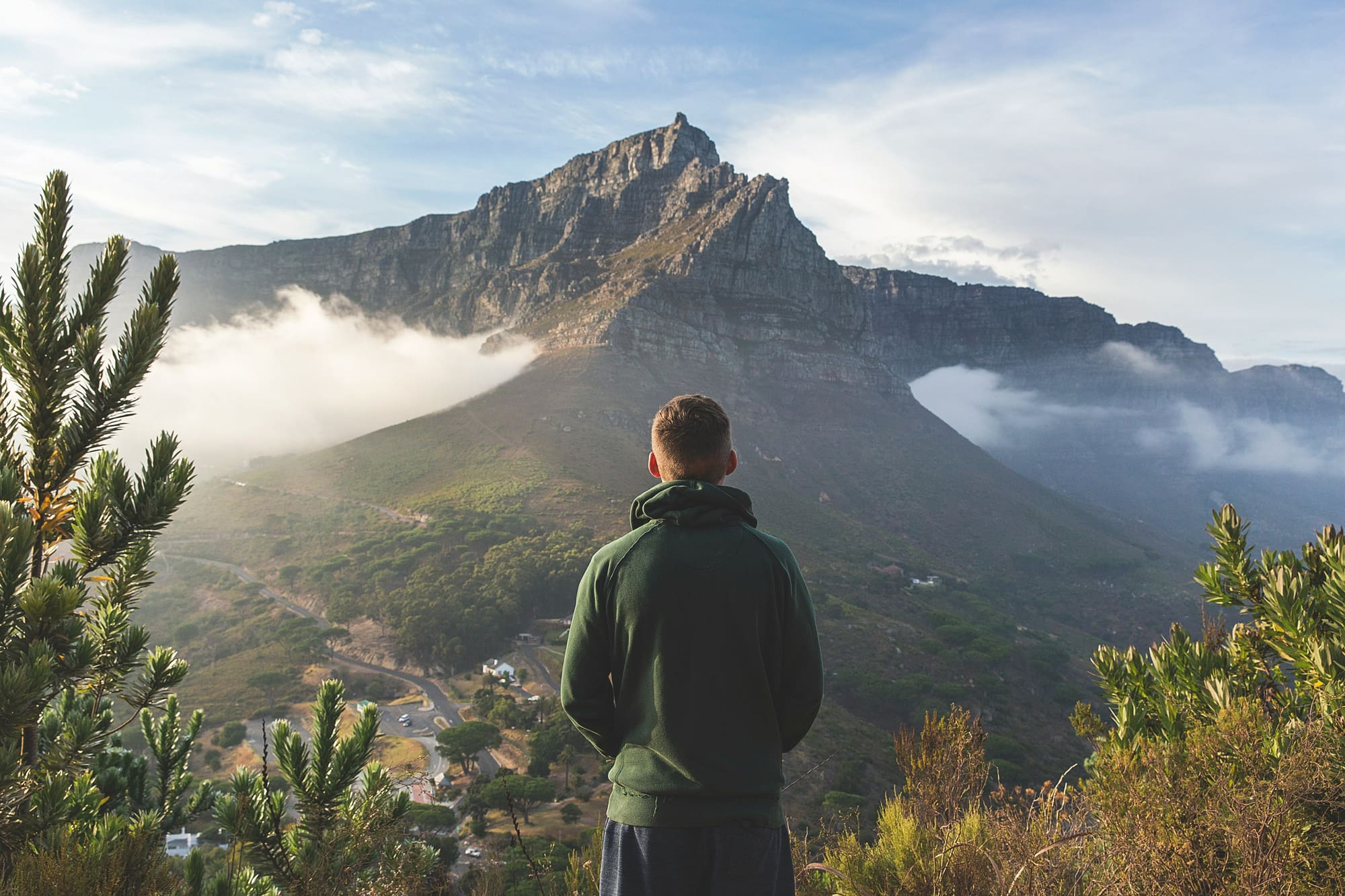 Afrique du Sud – 100% Nature, photo 2