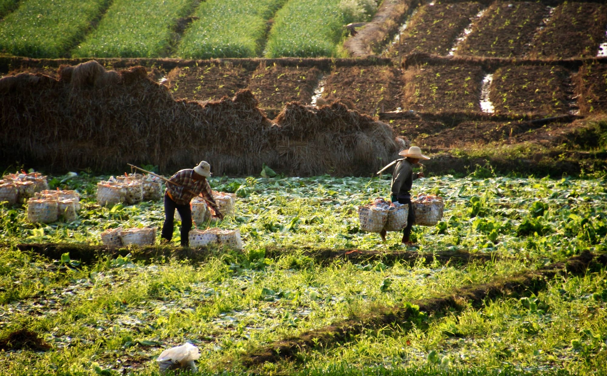 Escapade en Thaïlande du Nord, photo 7