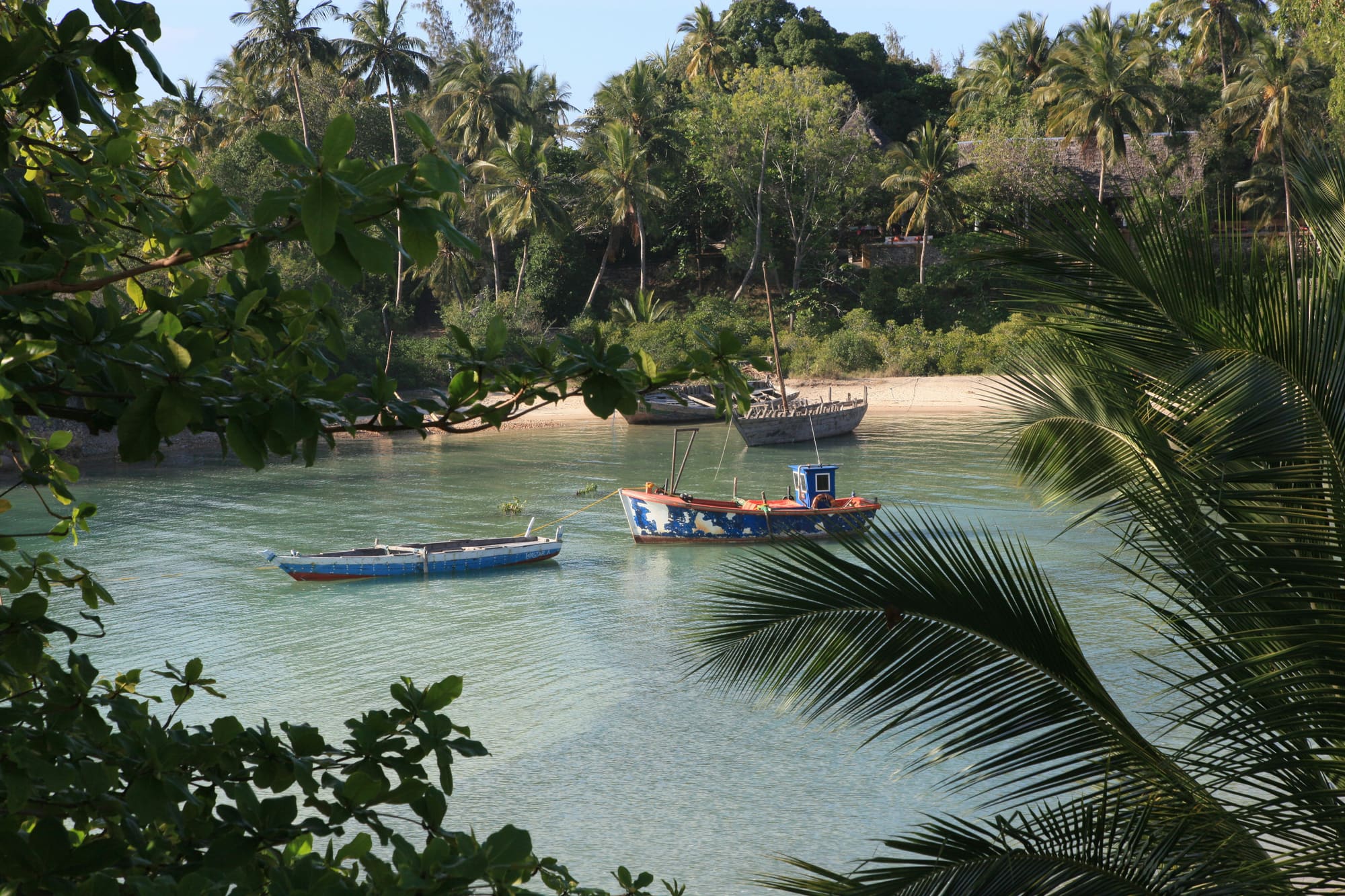 Zanzibar – Aventure sur l’Île aux Épices, photo 7