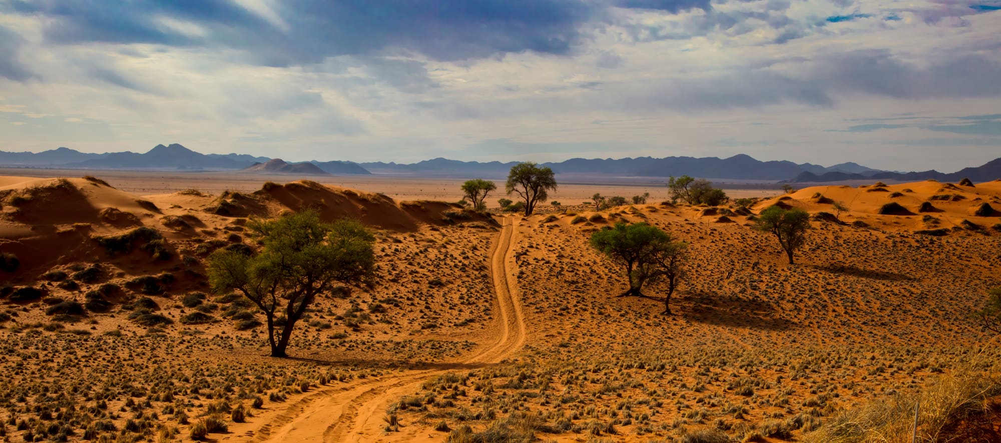 Namibie – Aventure Namibienne, photo 2