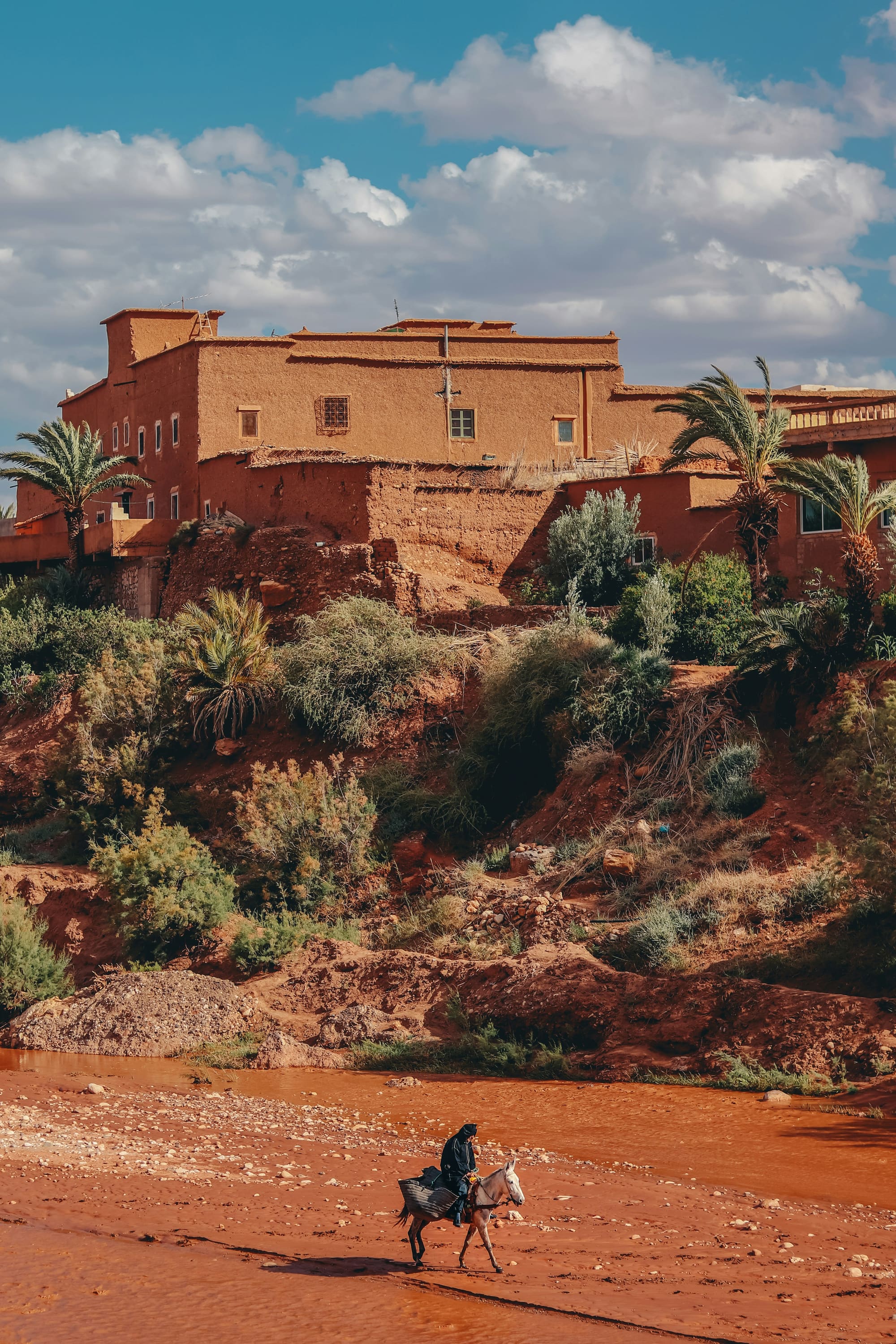 Maroc – À Cheval, photo 4