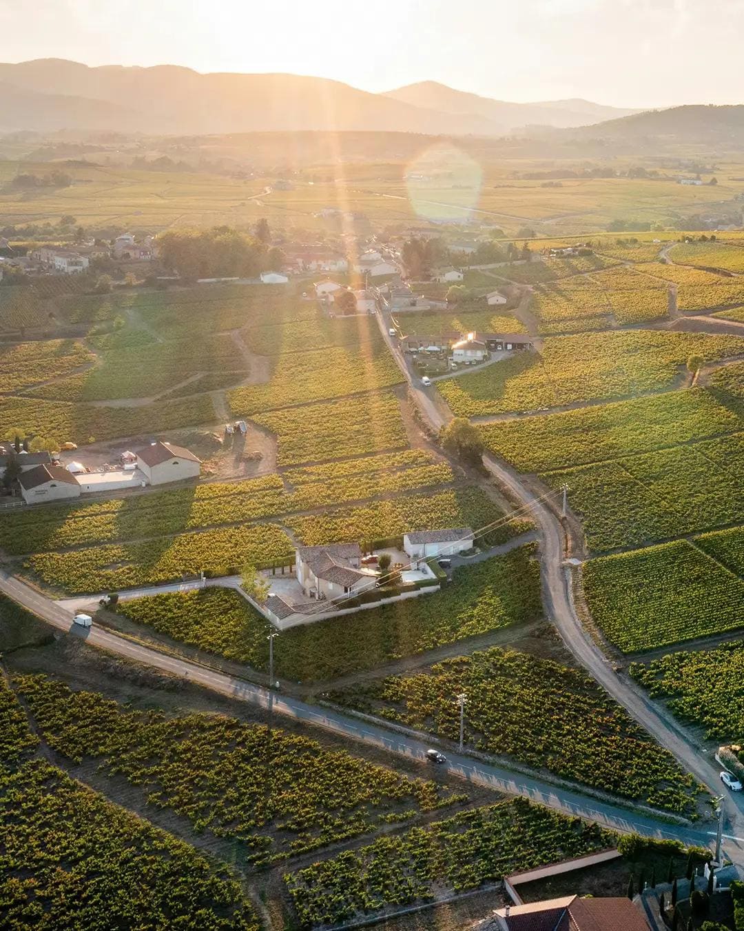 Beaujolais
"Architecture Viticole", photo 4