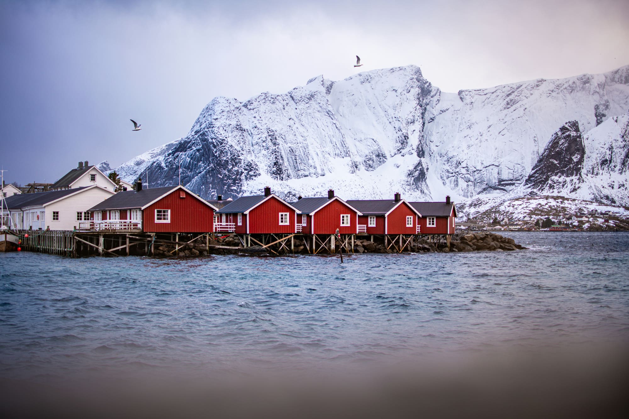 Norvège – Au cœur des Lofoten, photo 3