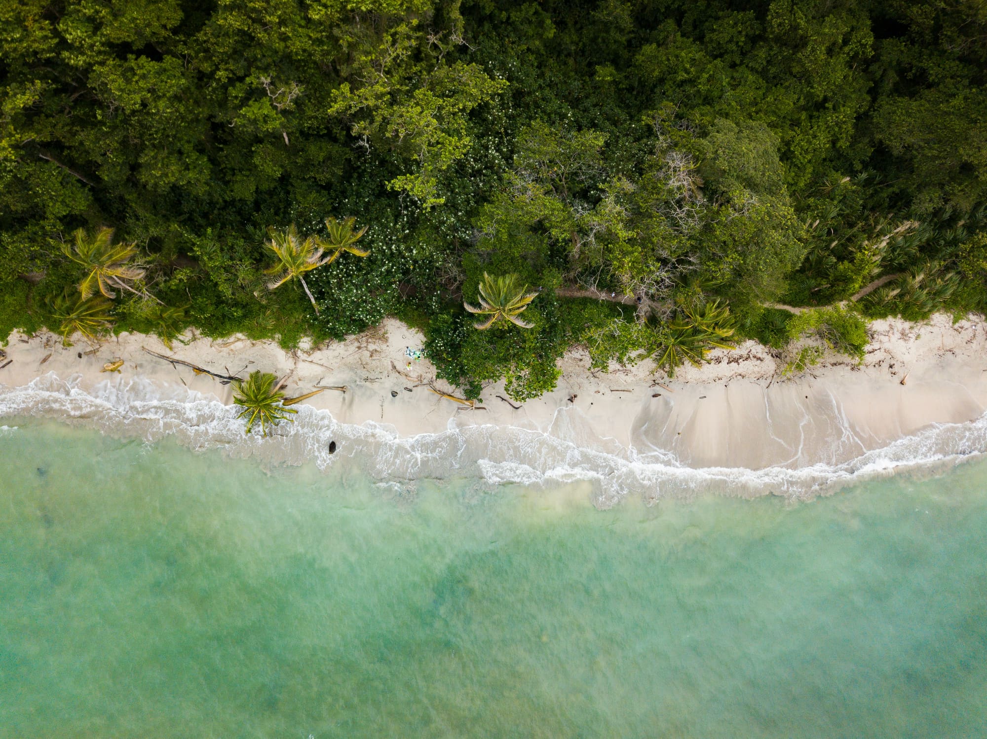 Costa Rica – En liberté, photo 5