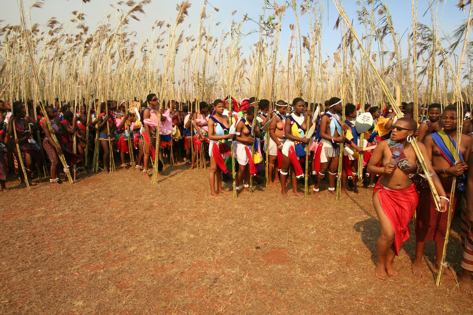 Afrique du Sud – Aventure sur la Route des Jardins, photo 6