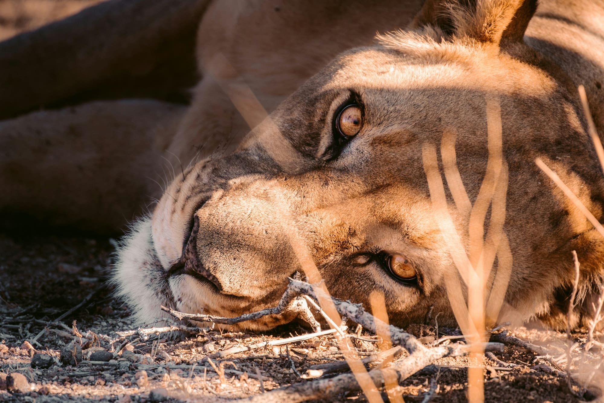 Namibie – Aventure Namibienne, photo 3