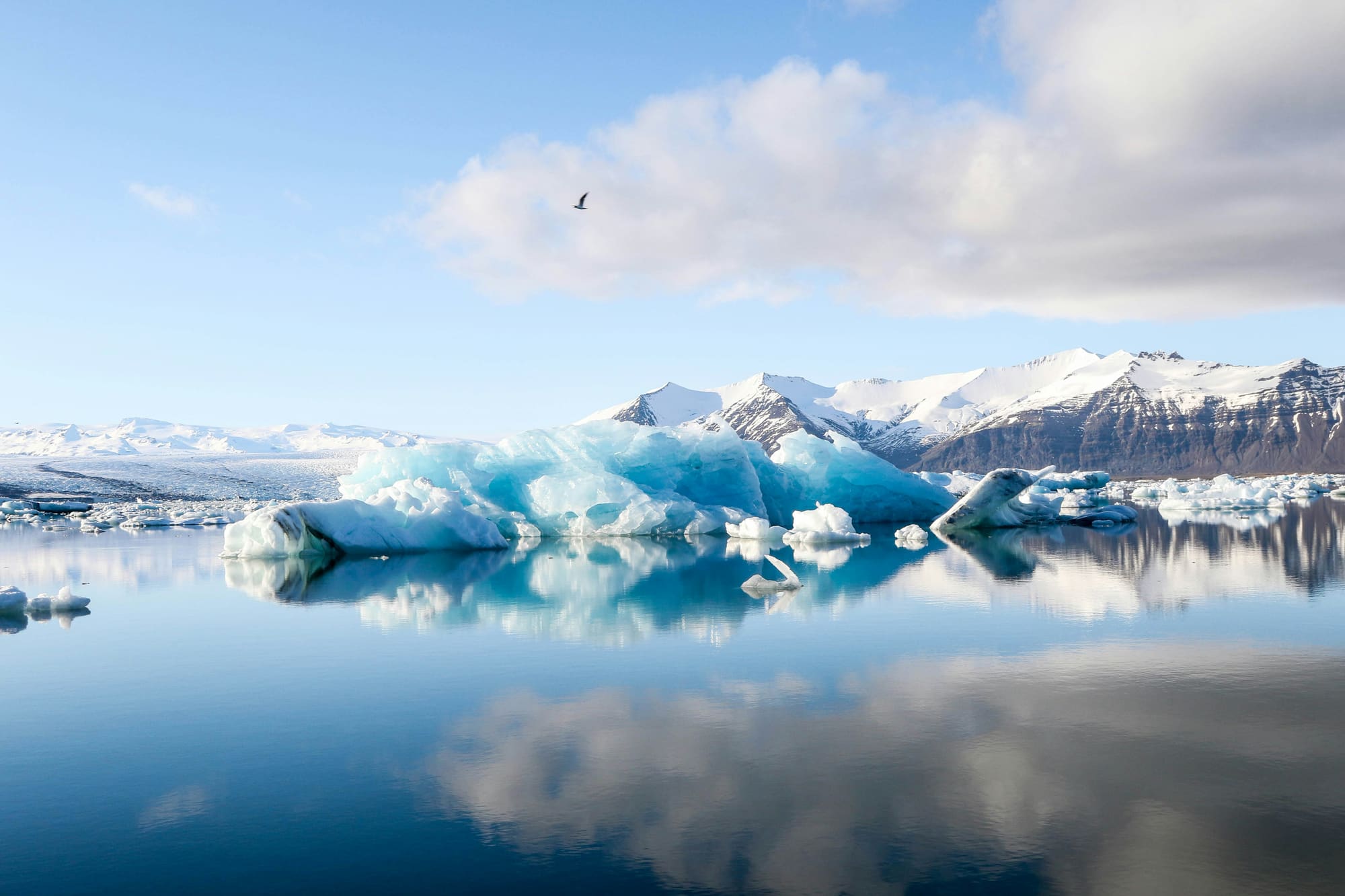 Islande – L’Aventure Hivernale pour Tous, photo 5