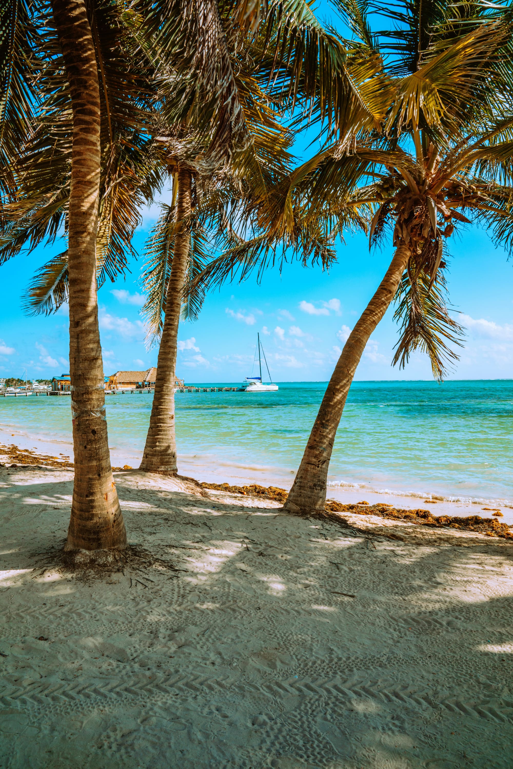 Belize – Le Jaguar : jungle & Caraïbes, photo 6