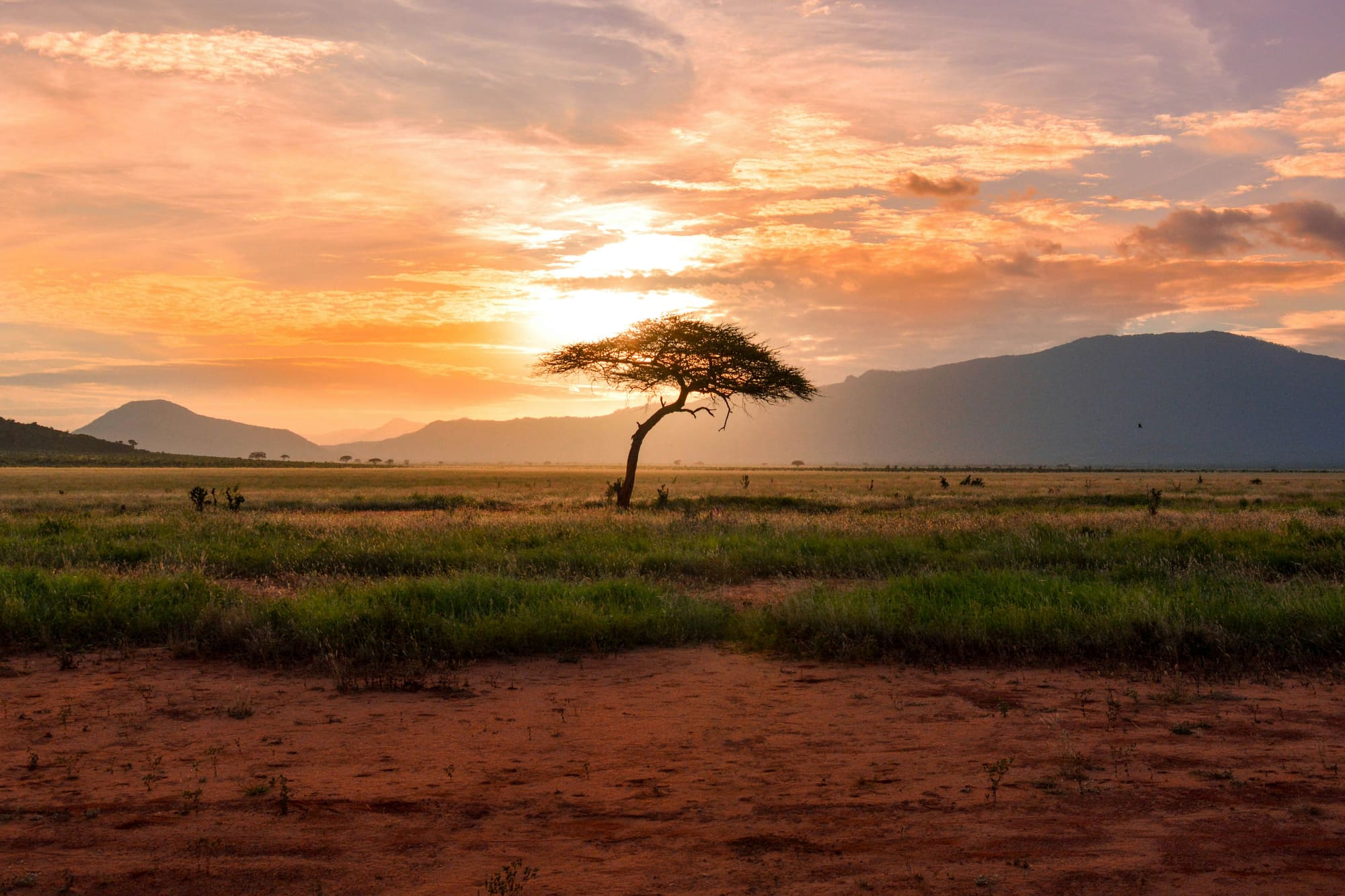 Kenya – Safari & Yoga, photo 2