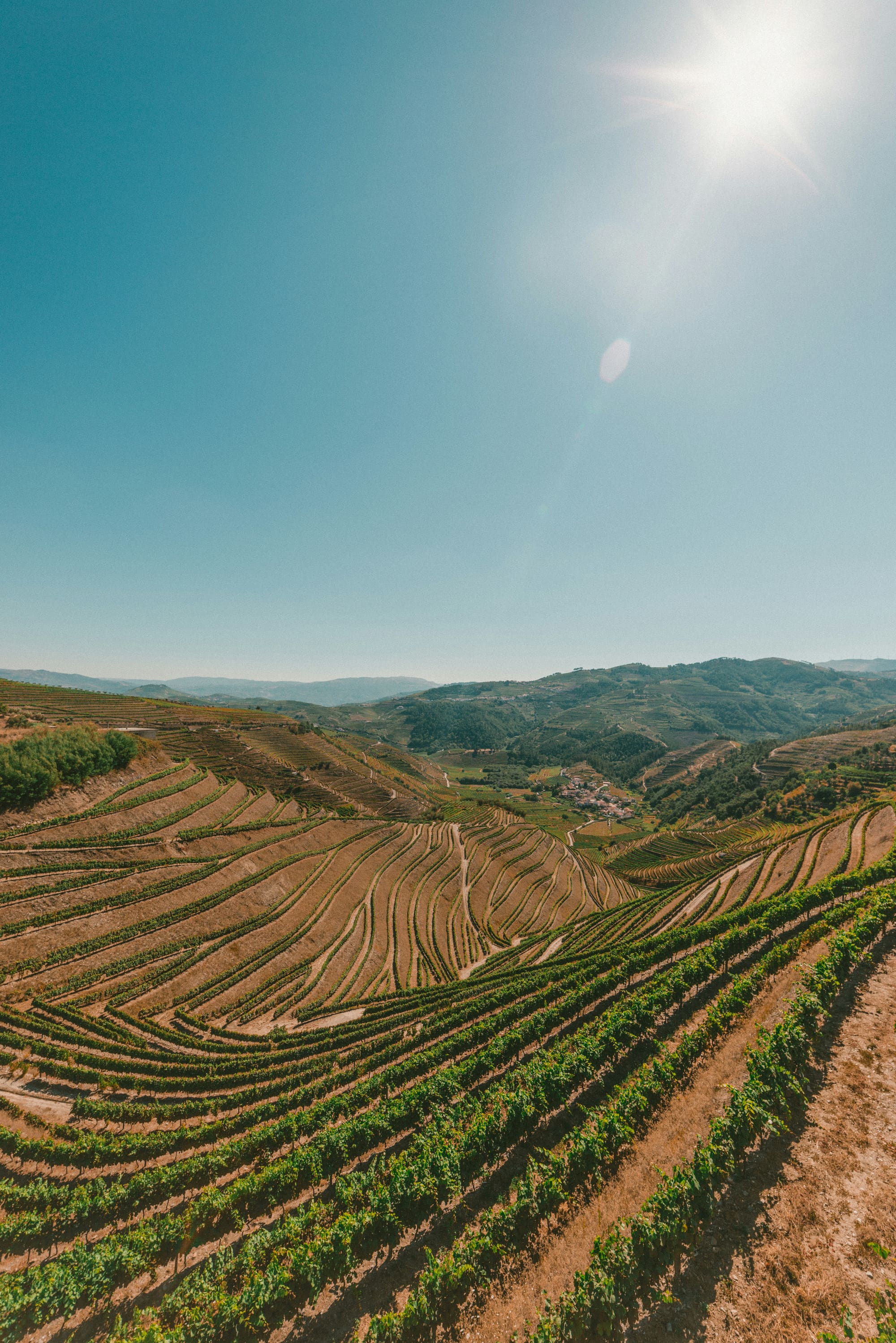 Portugal – Aventure en Alentejo, photo 6
