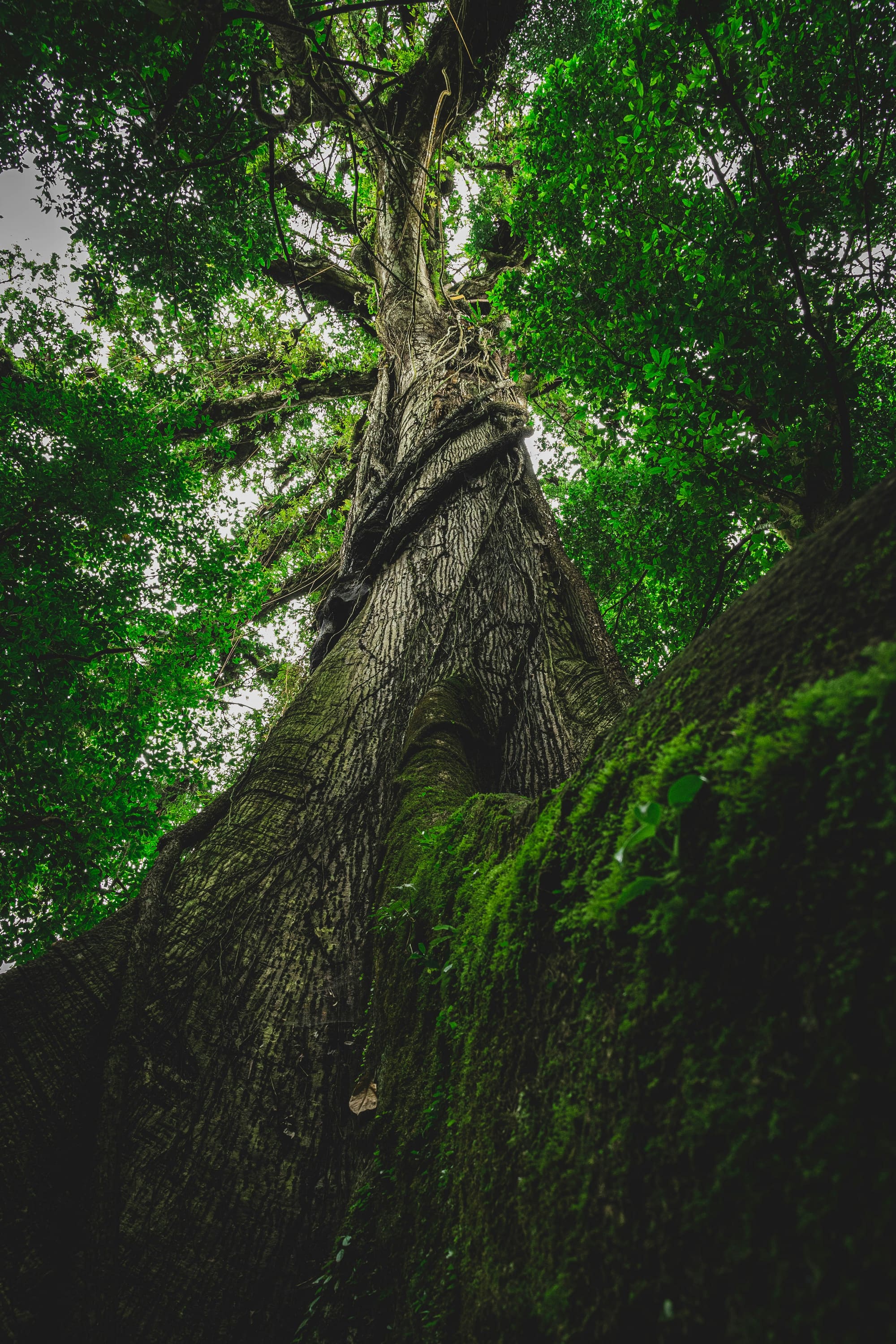 Costa Rica – En liberté, photo 6